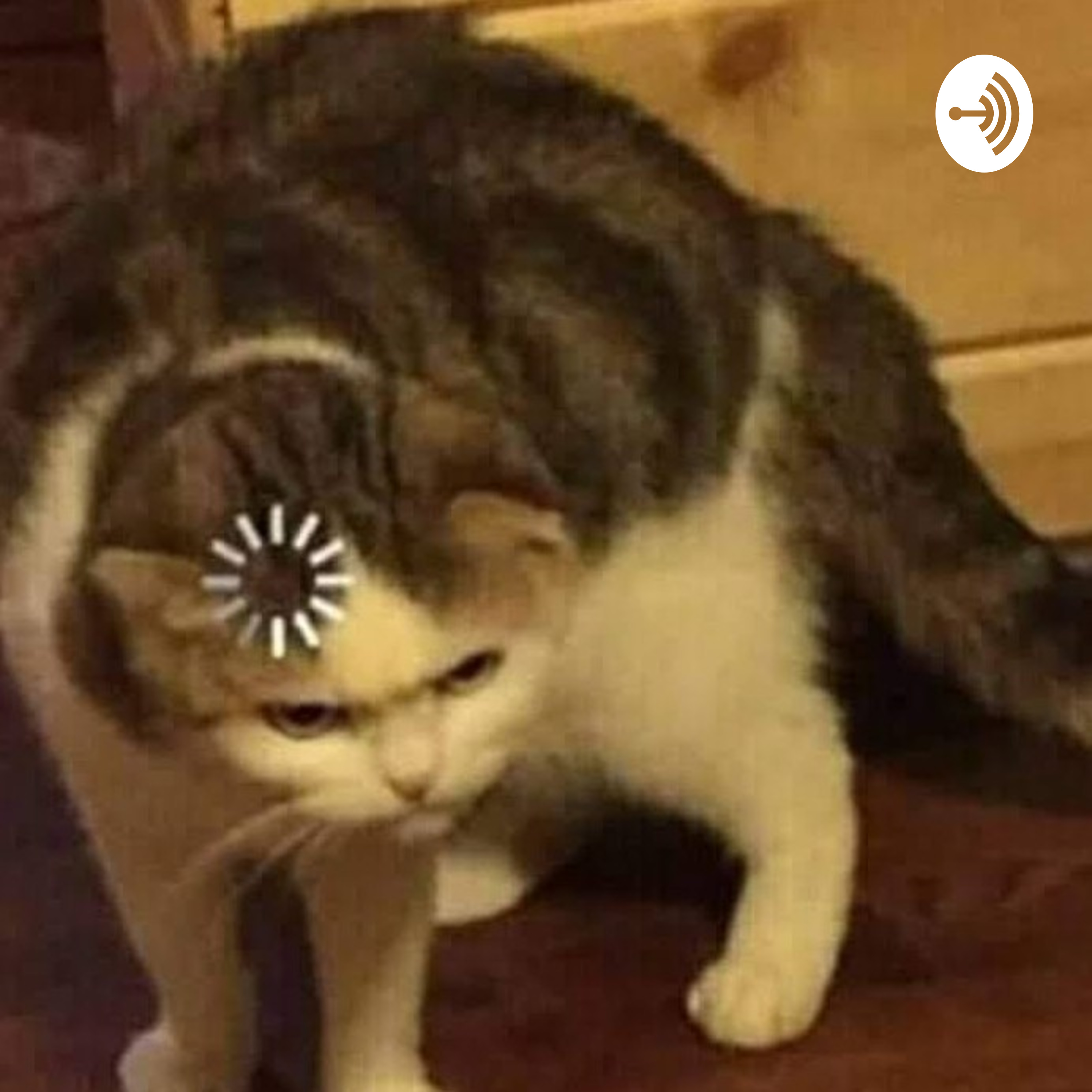 Podcats