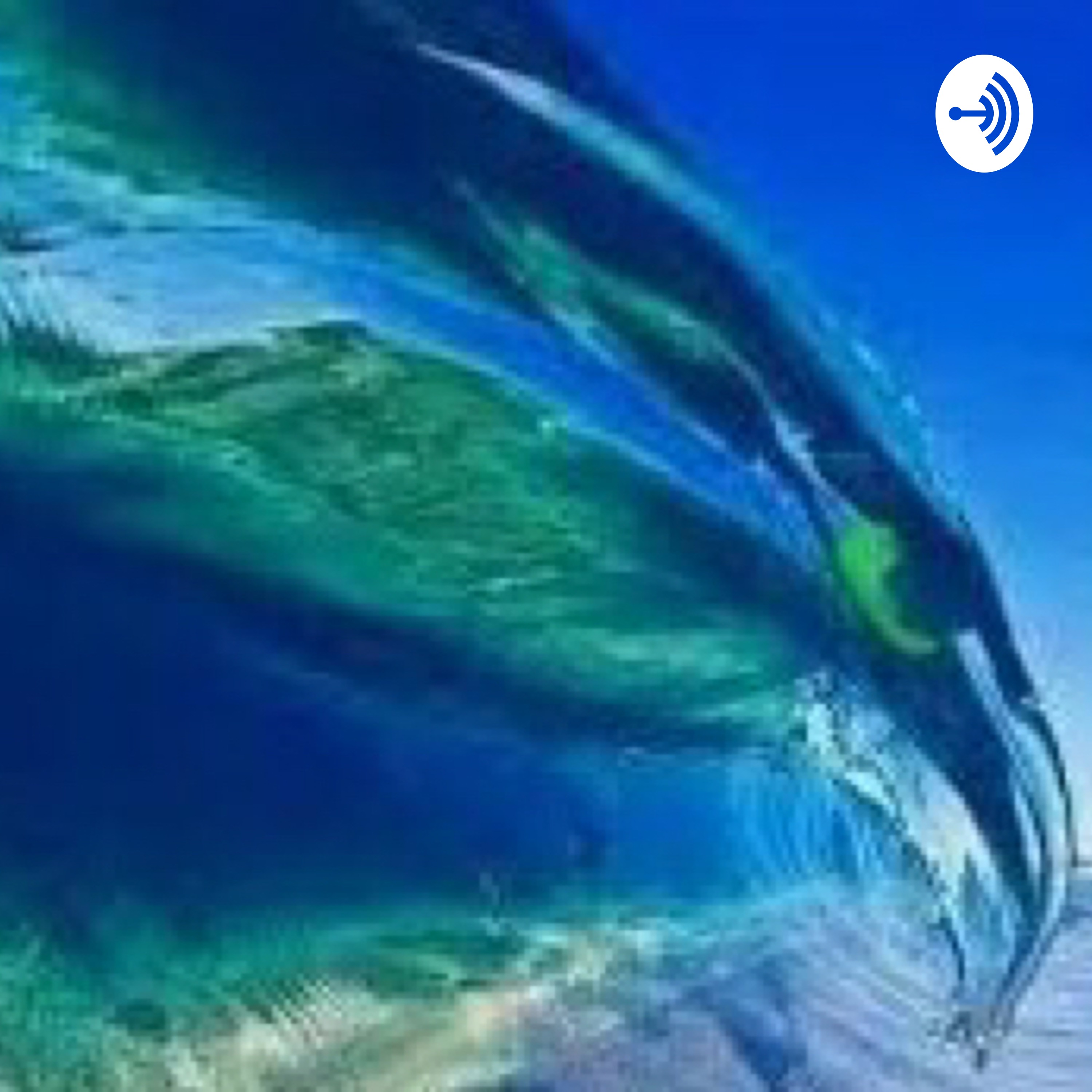 Blue Wave Podcast