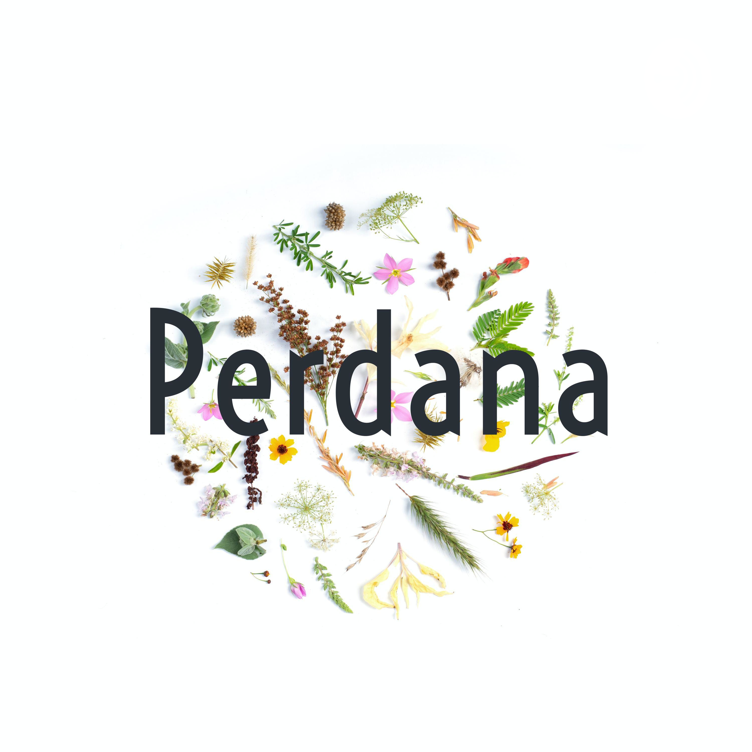 Perdana