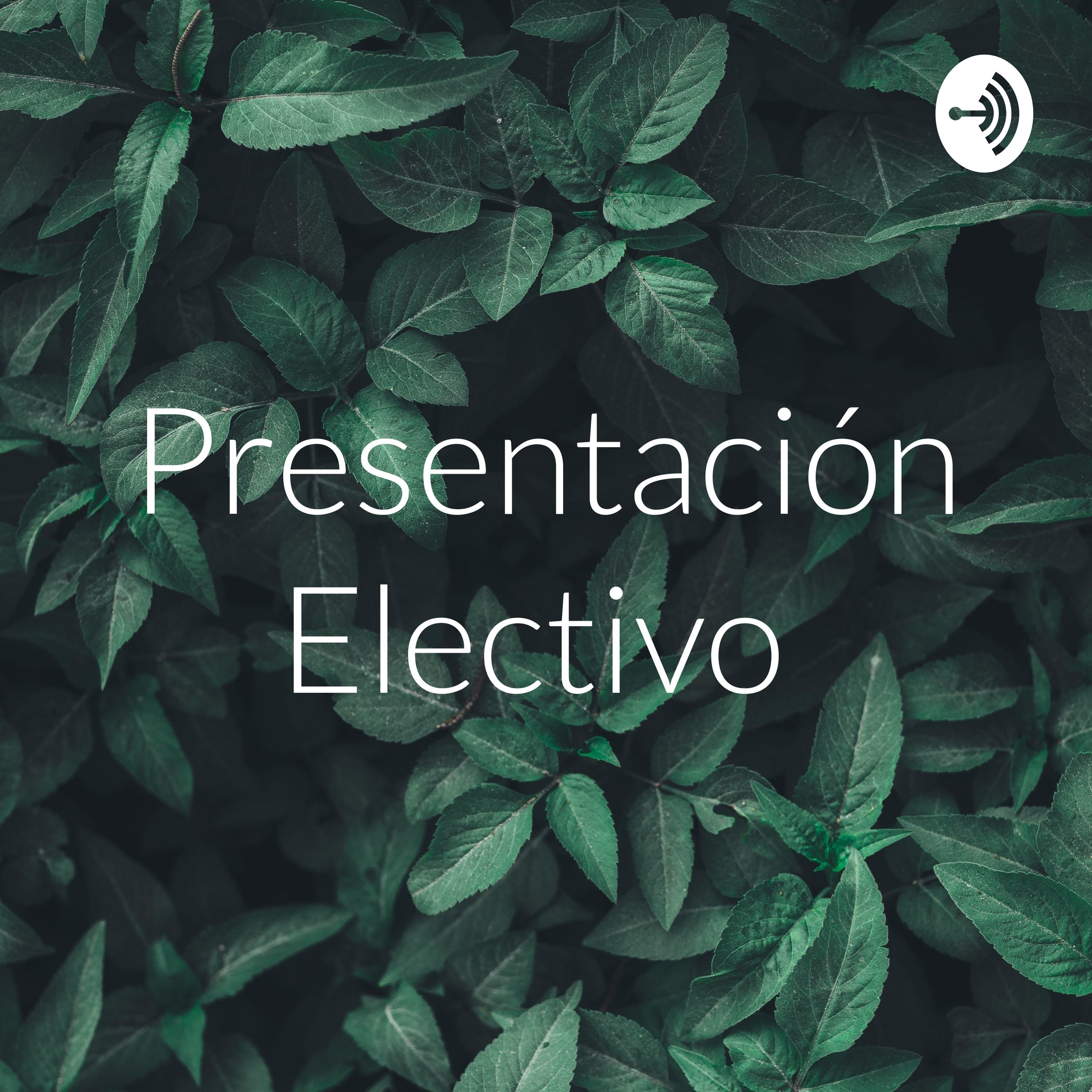 Presentación Electivo 