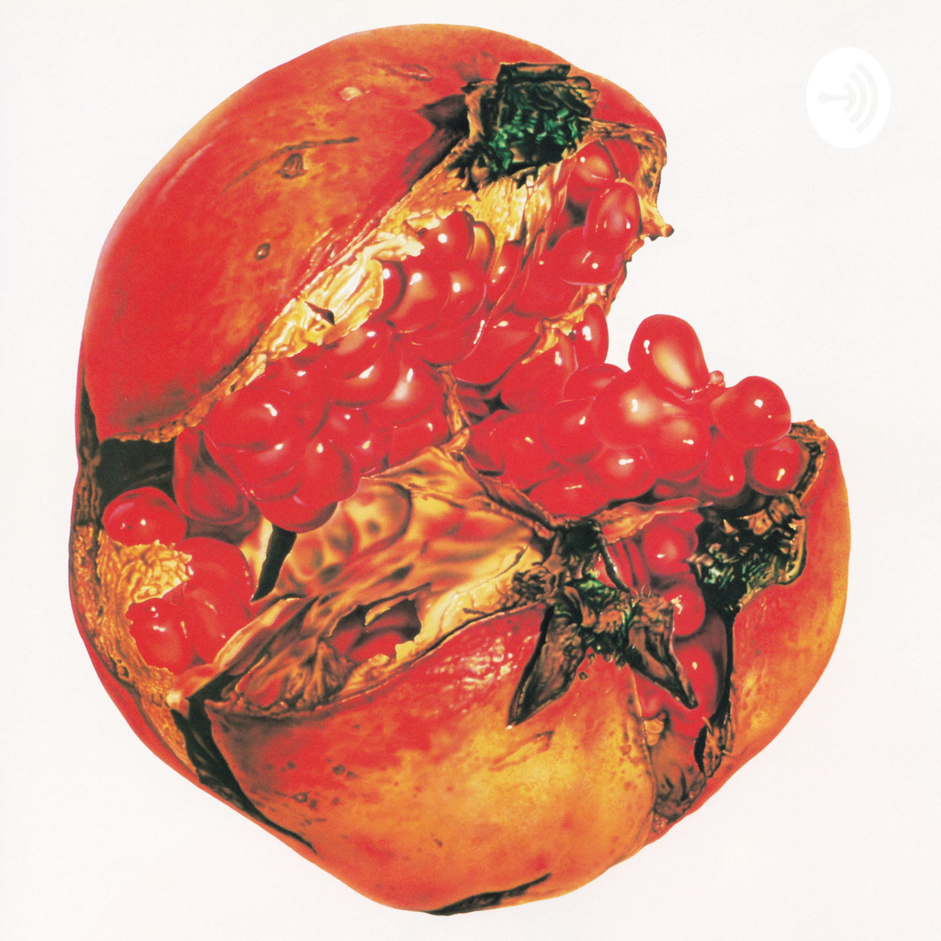 My journey to modesty + hijab My journey to modesty + hijab