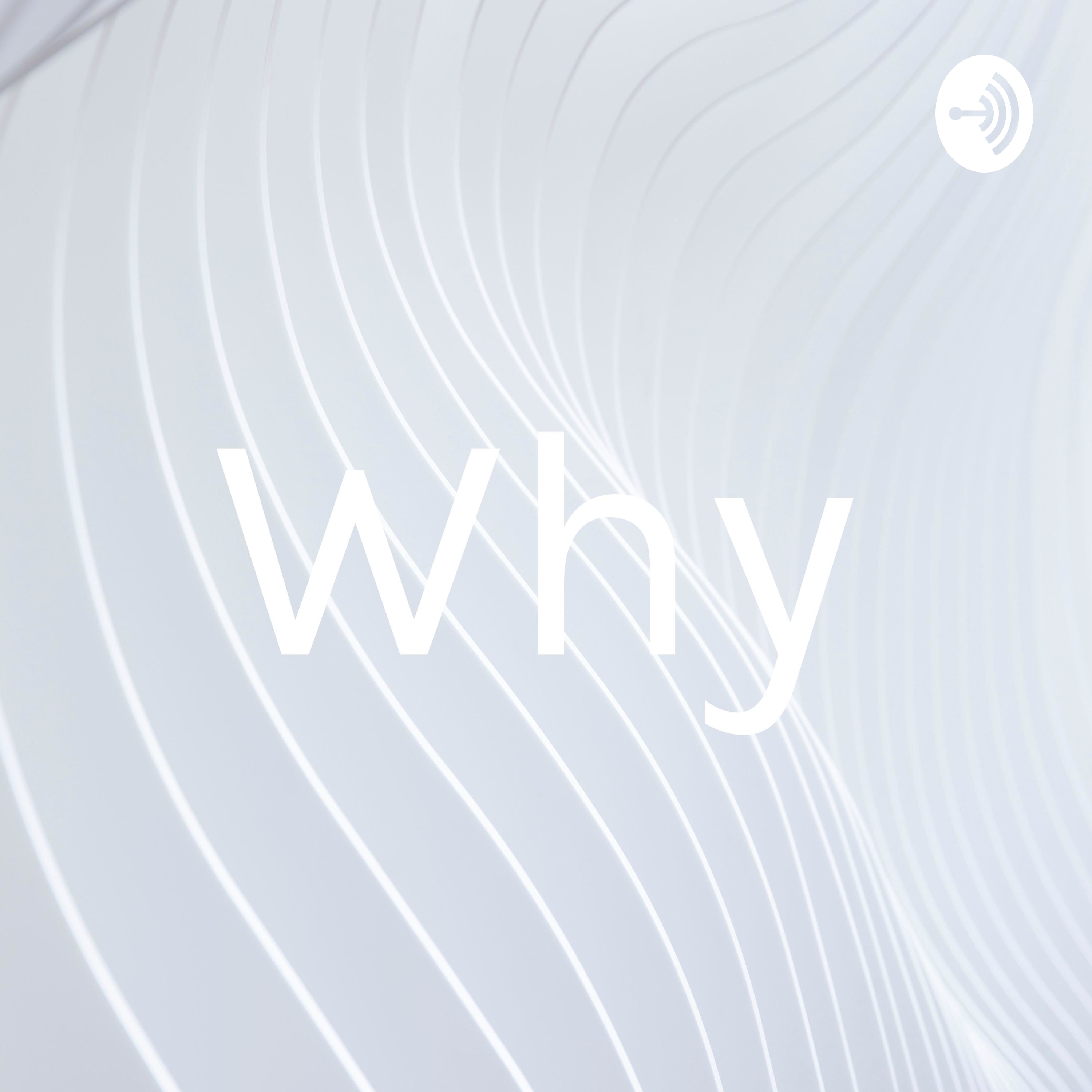 Why (Trailer)