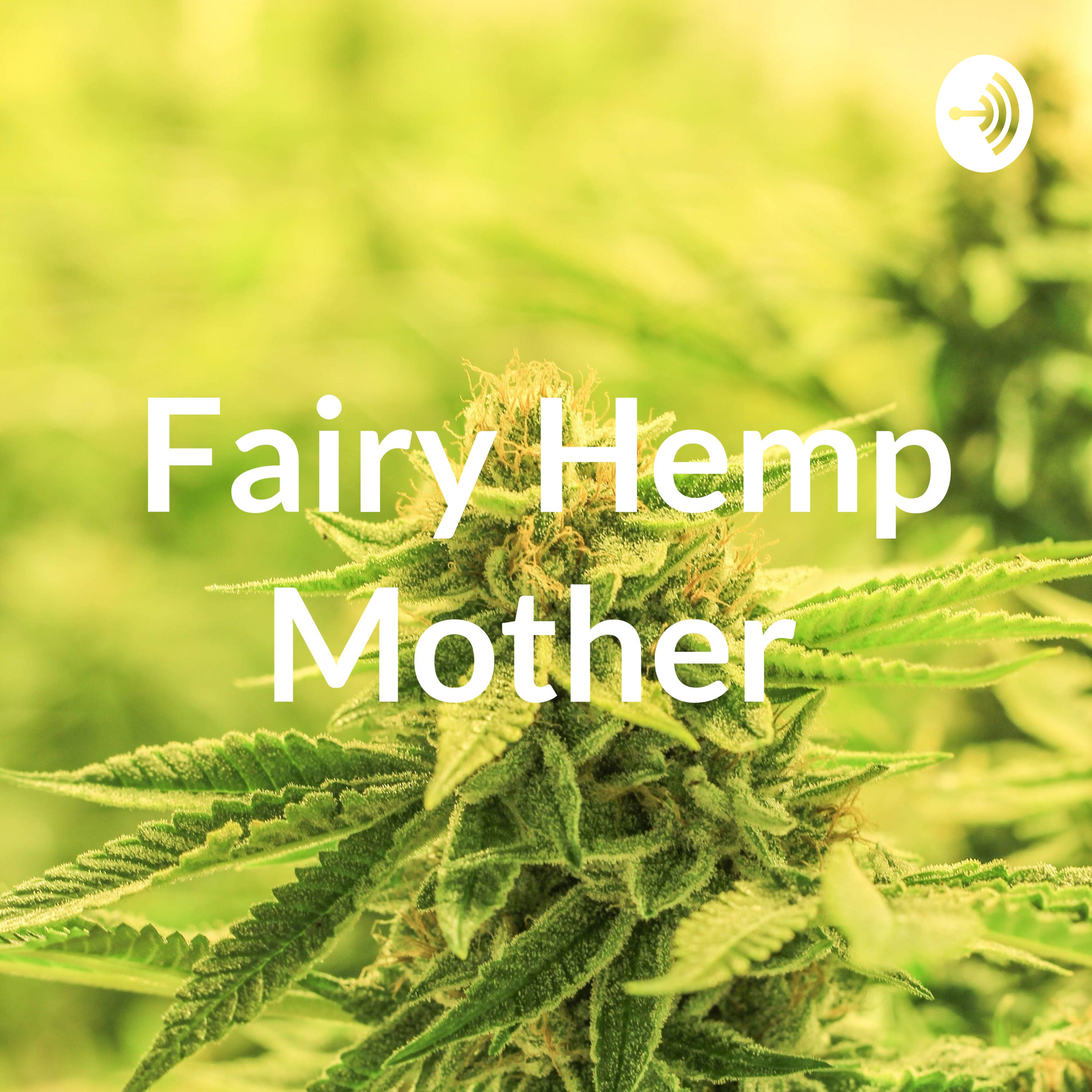 Fairy Hemp Mother 
