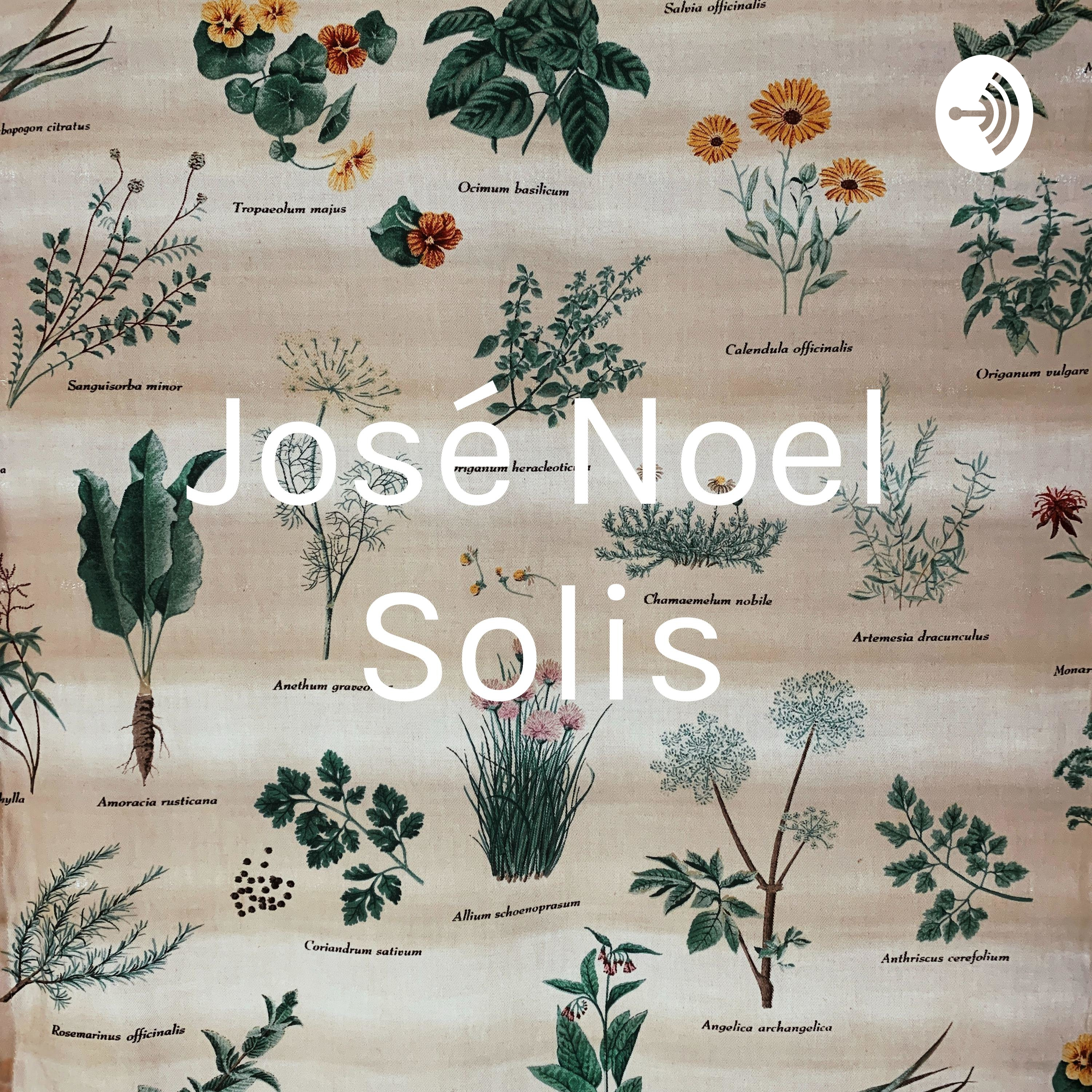 José Noel Solis