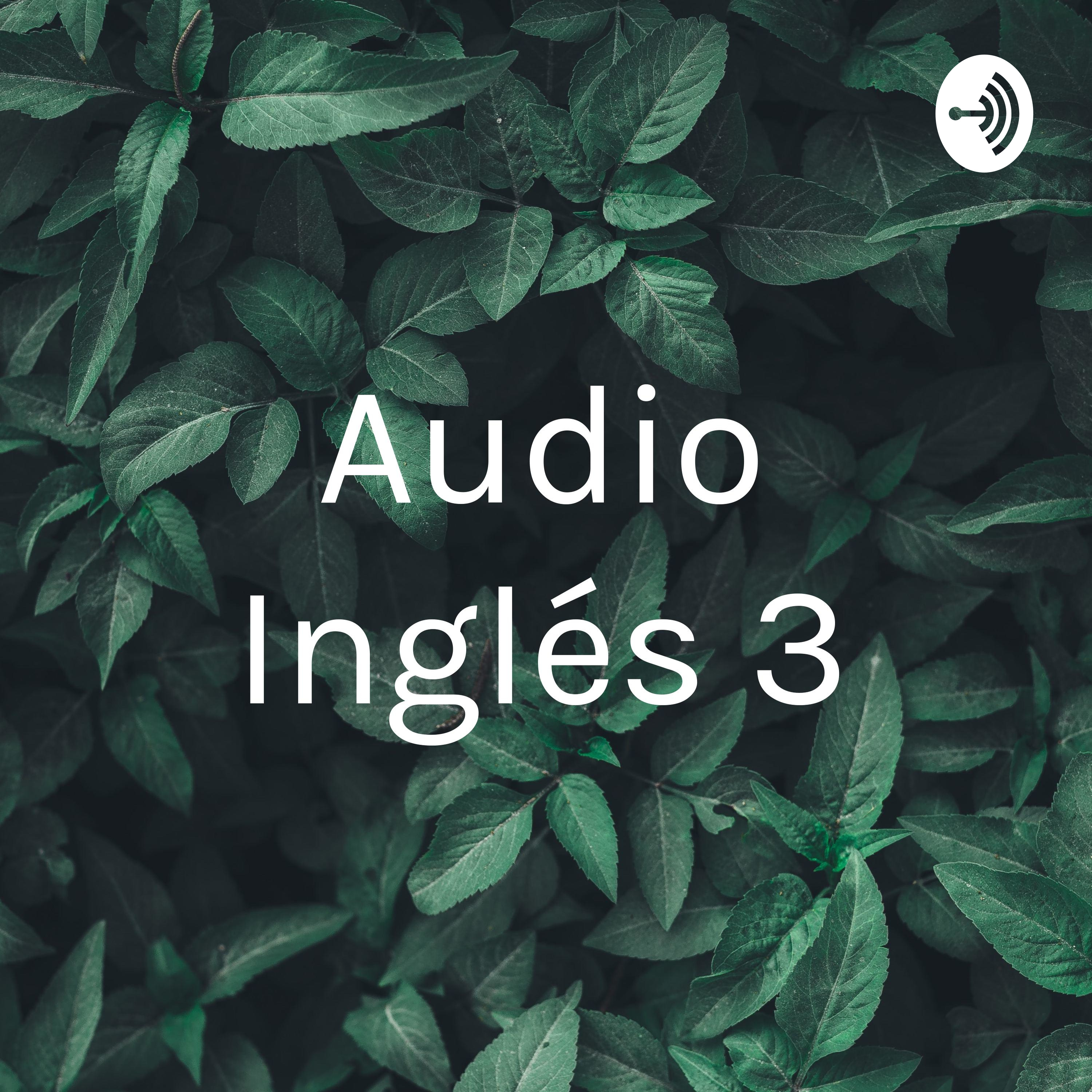 Audio Inglés 3