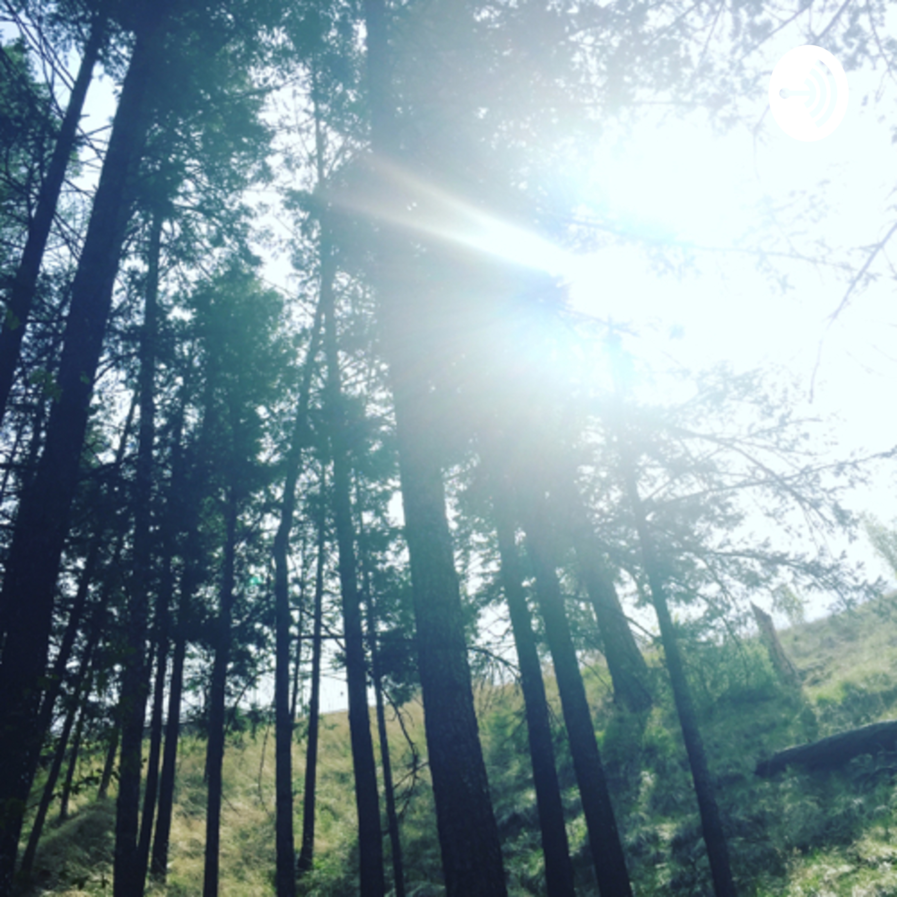 The Self Healing Journey and Entrepreneurship