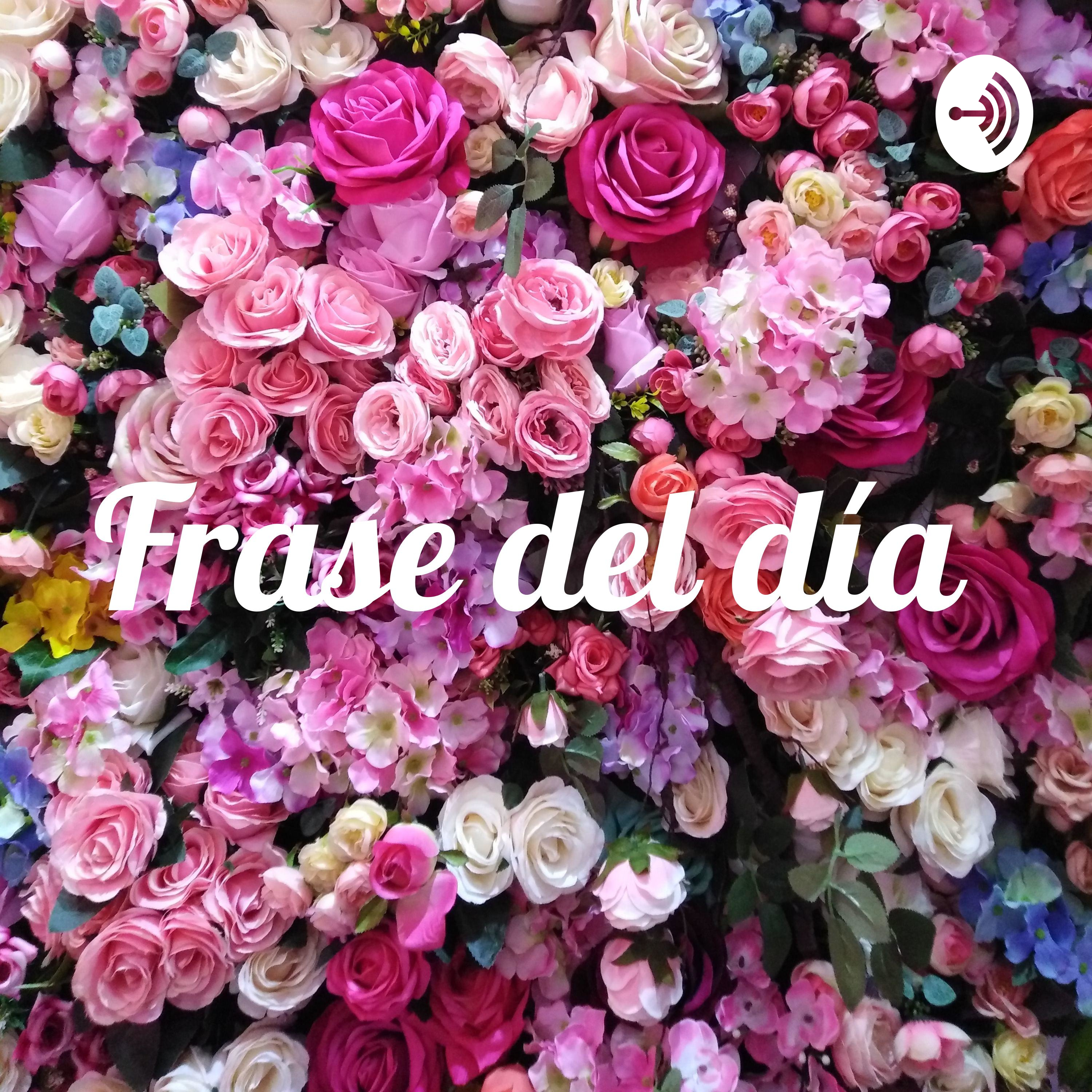Frase del día 