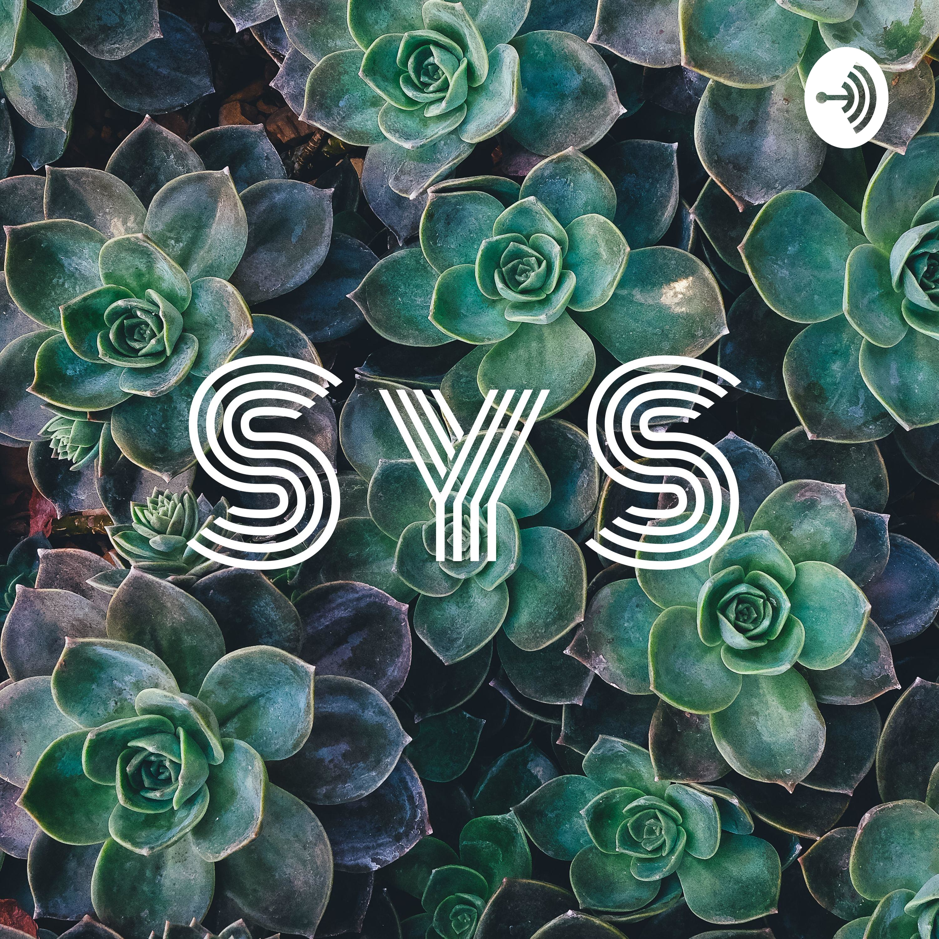 S y S podcast artwork