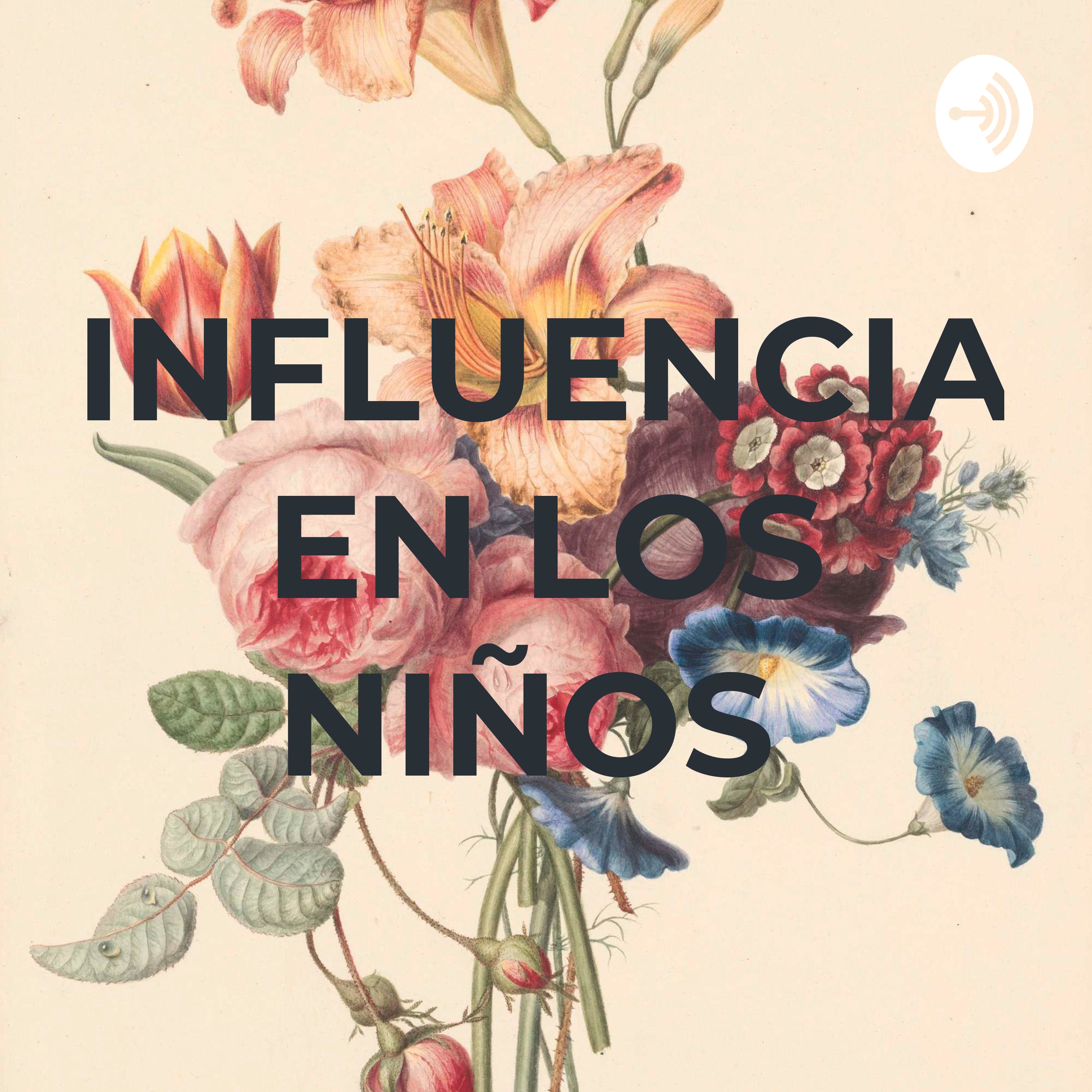 INFLUENCIA EN LOS NIÑOS
