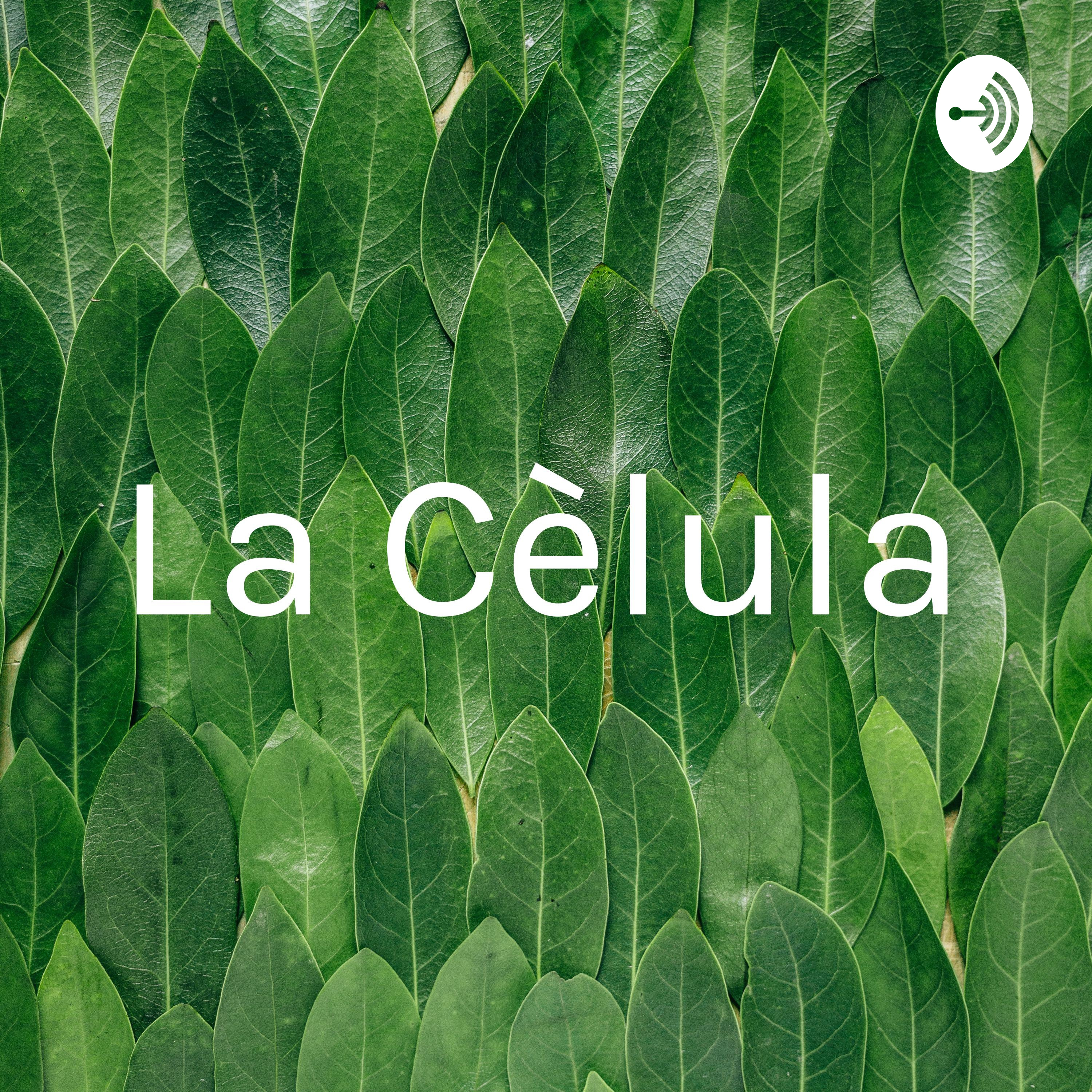 La Cèlula