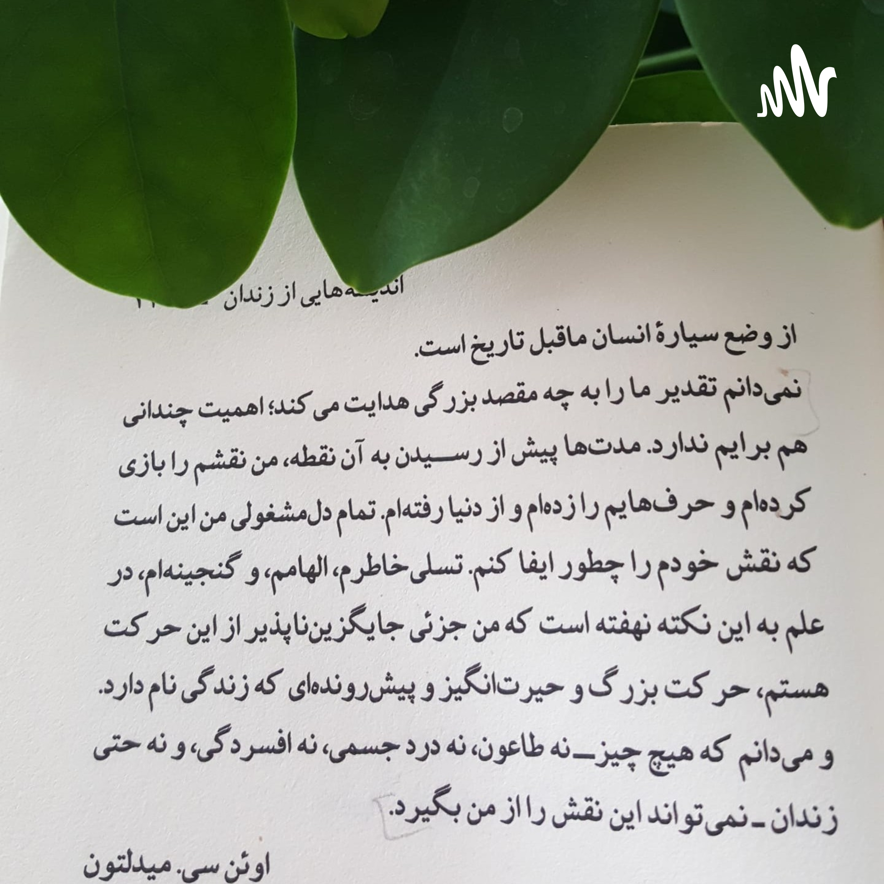 کاور Elii__sii