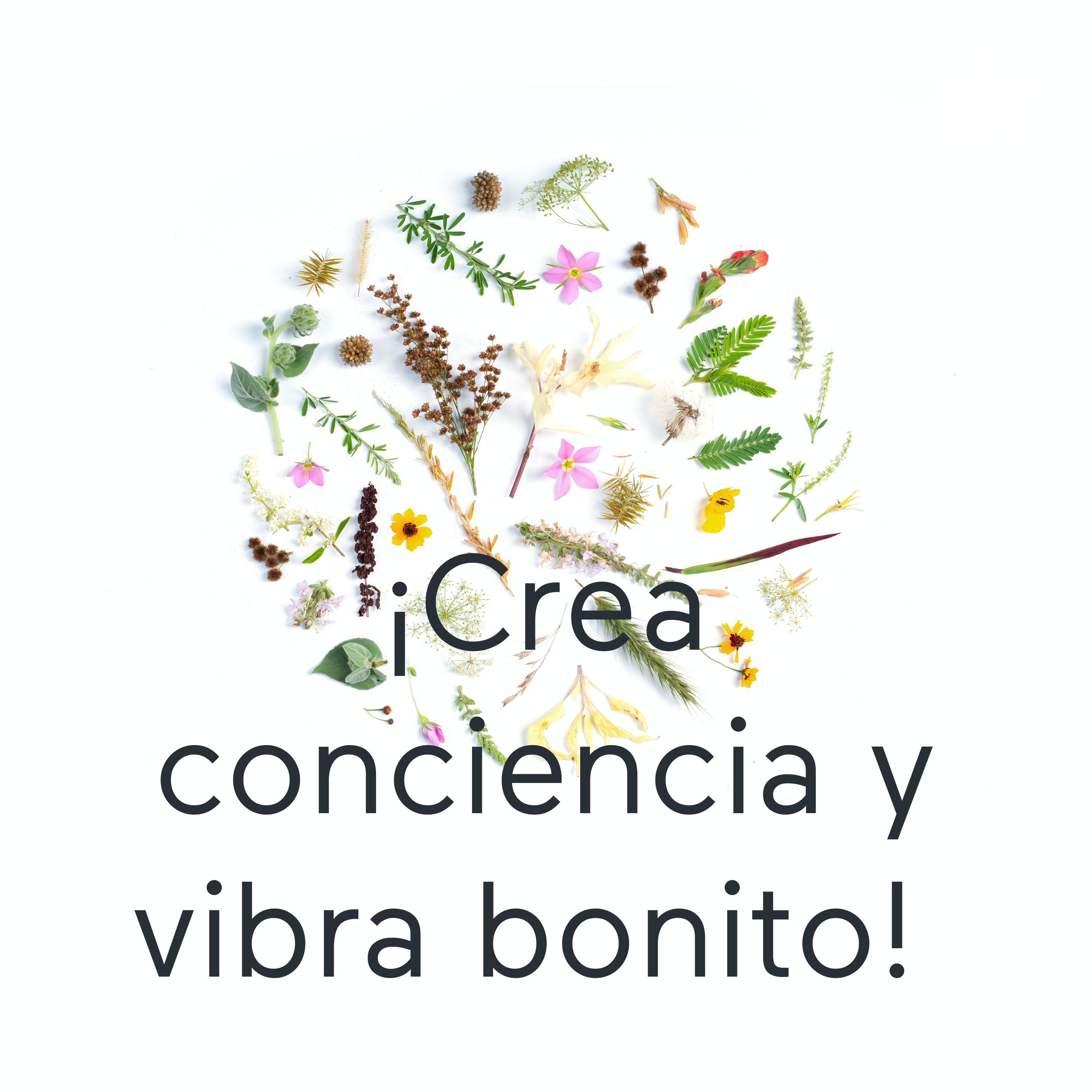 Portada de ¡Crea conciencia y vibra bonito!