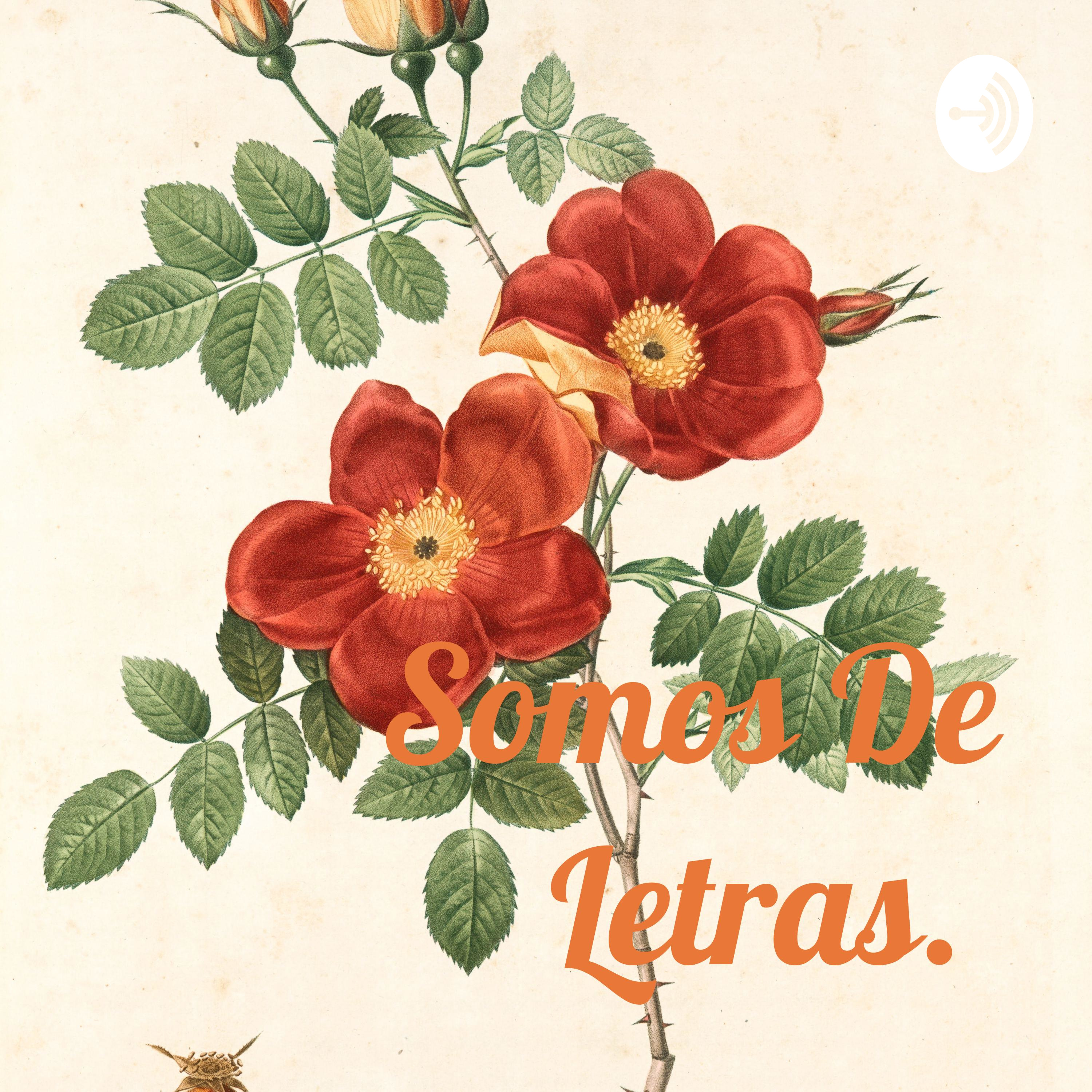 Somos De Letras. podcast artwork