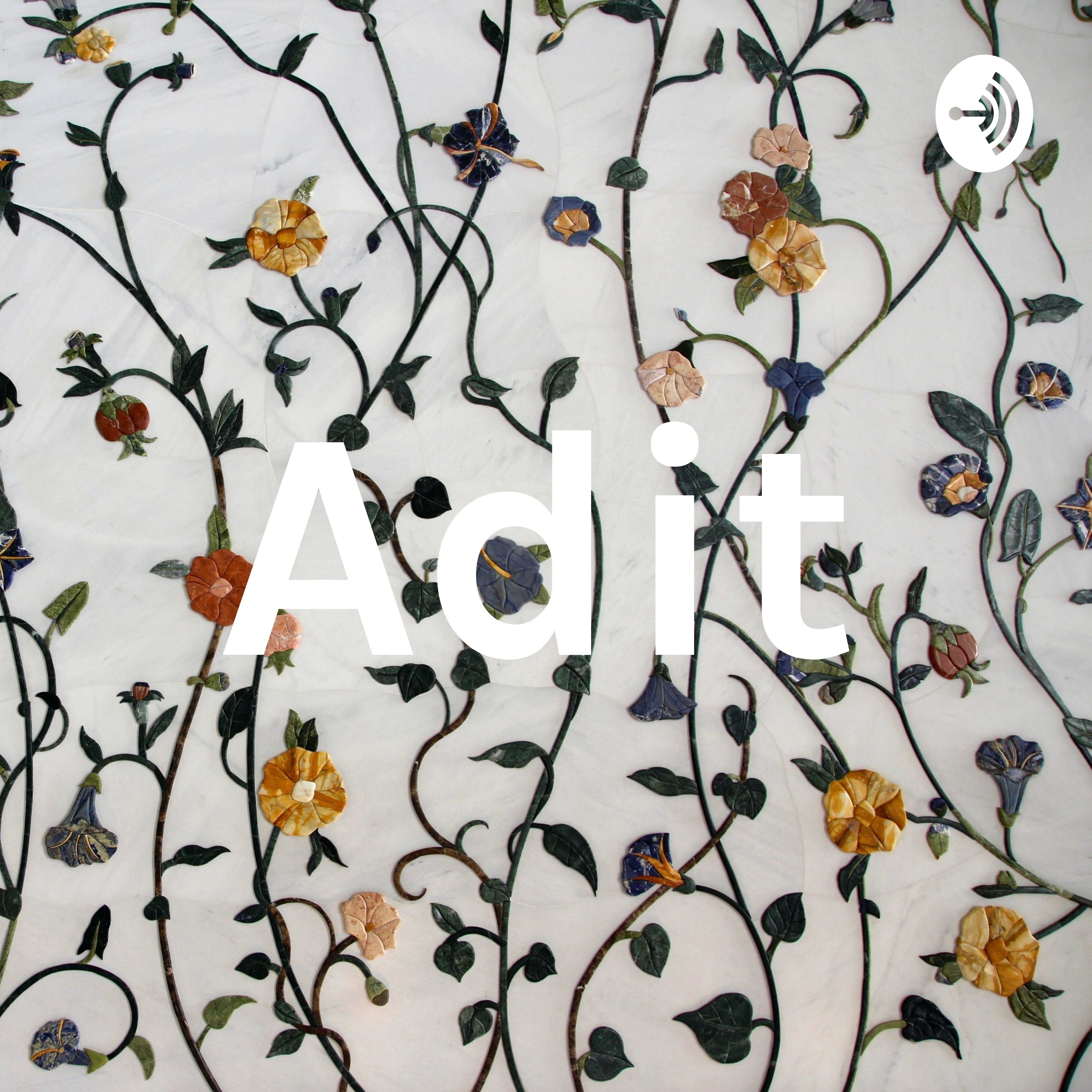 Adit cover