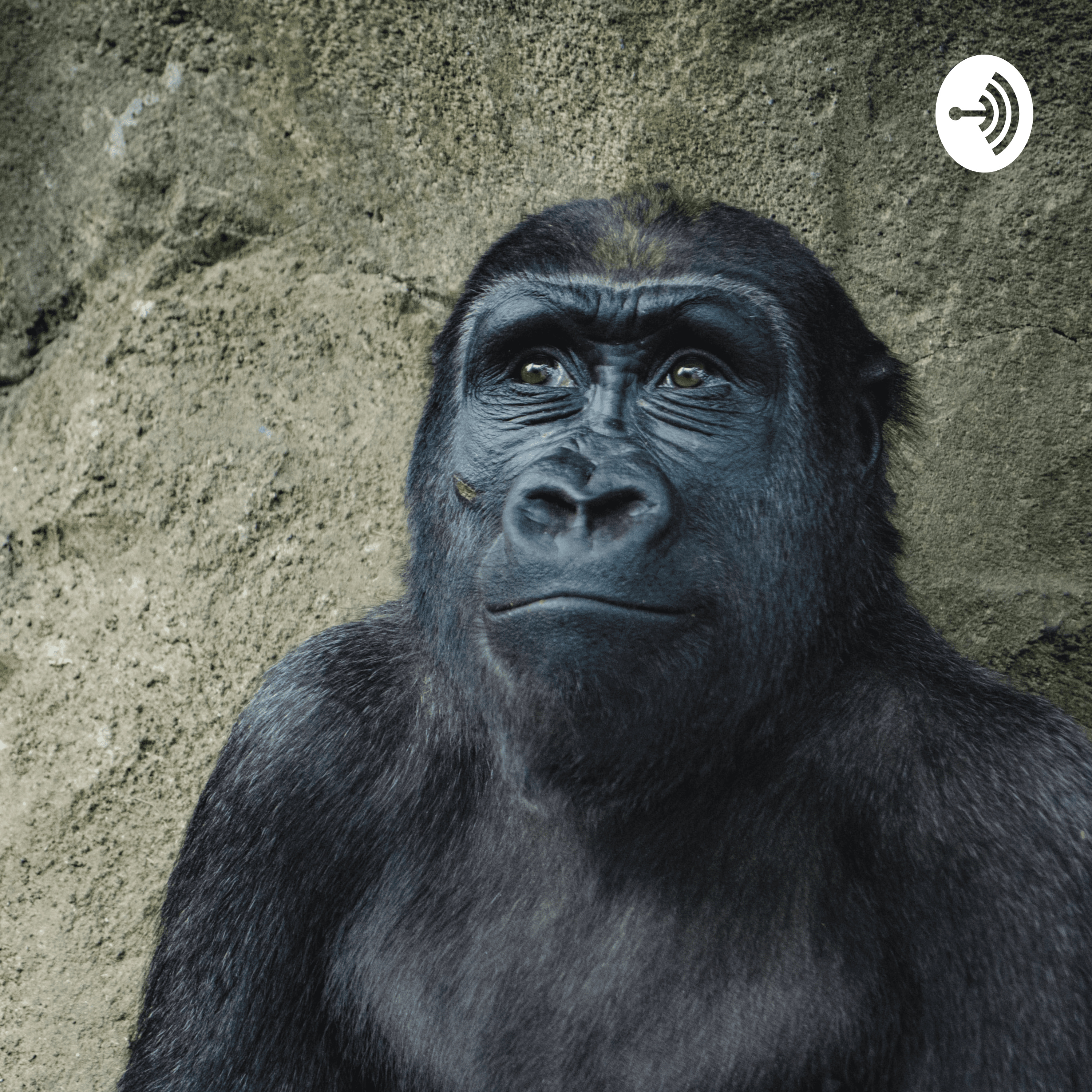 niggas and da puppies