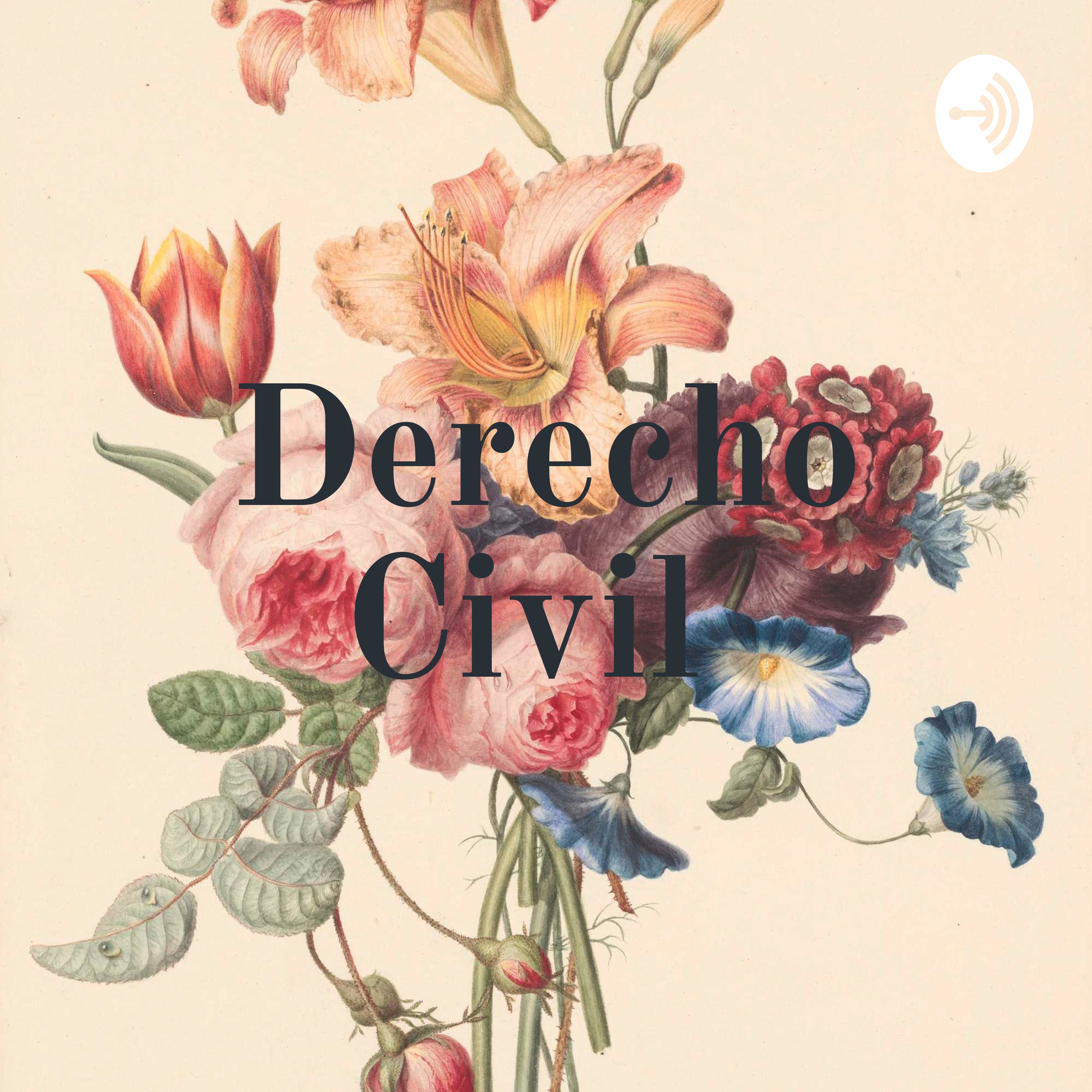 Derecho Civil 