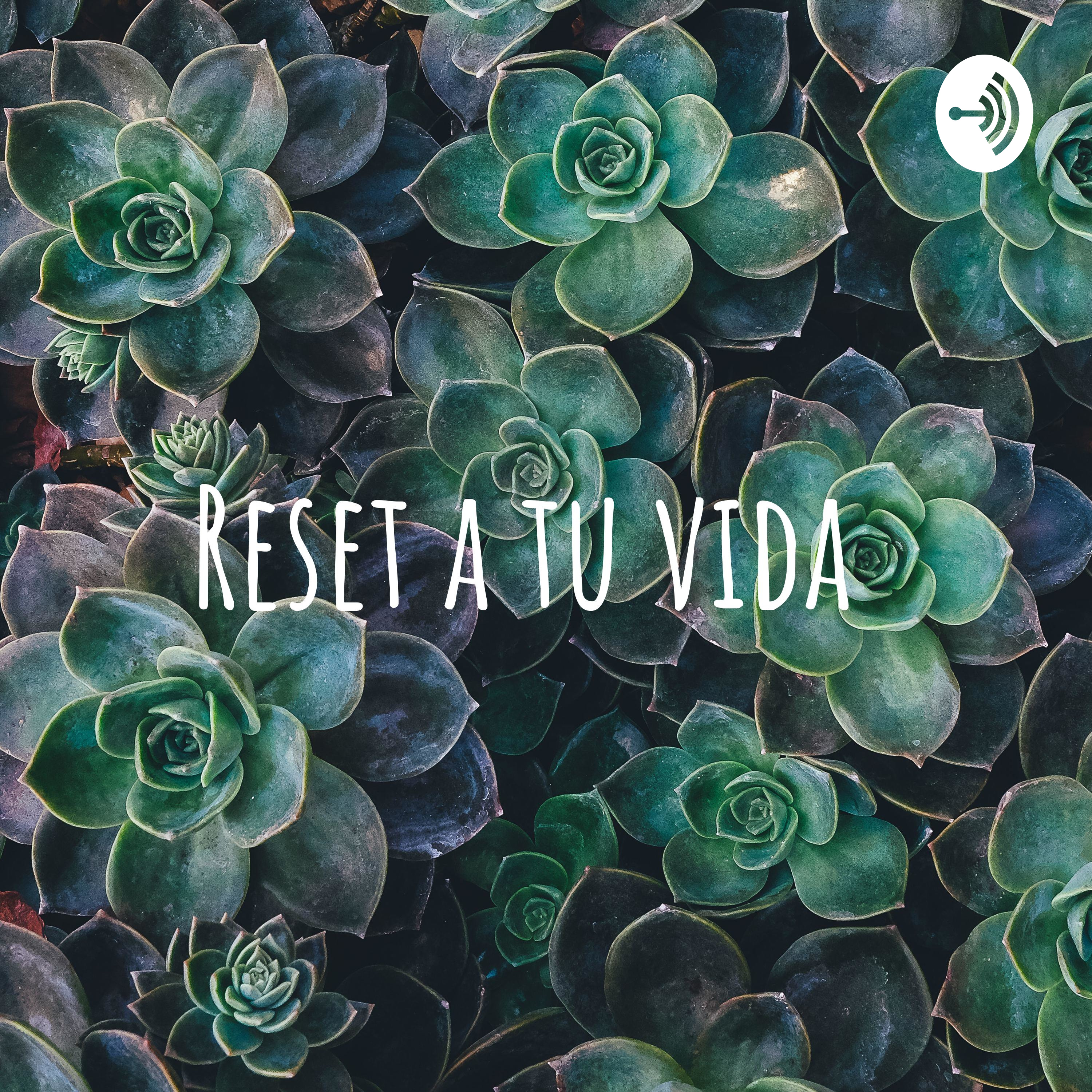 Reset a tu vida 