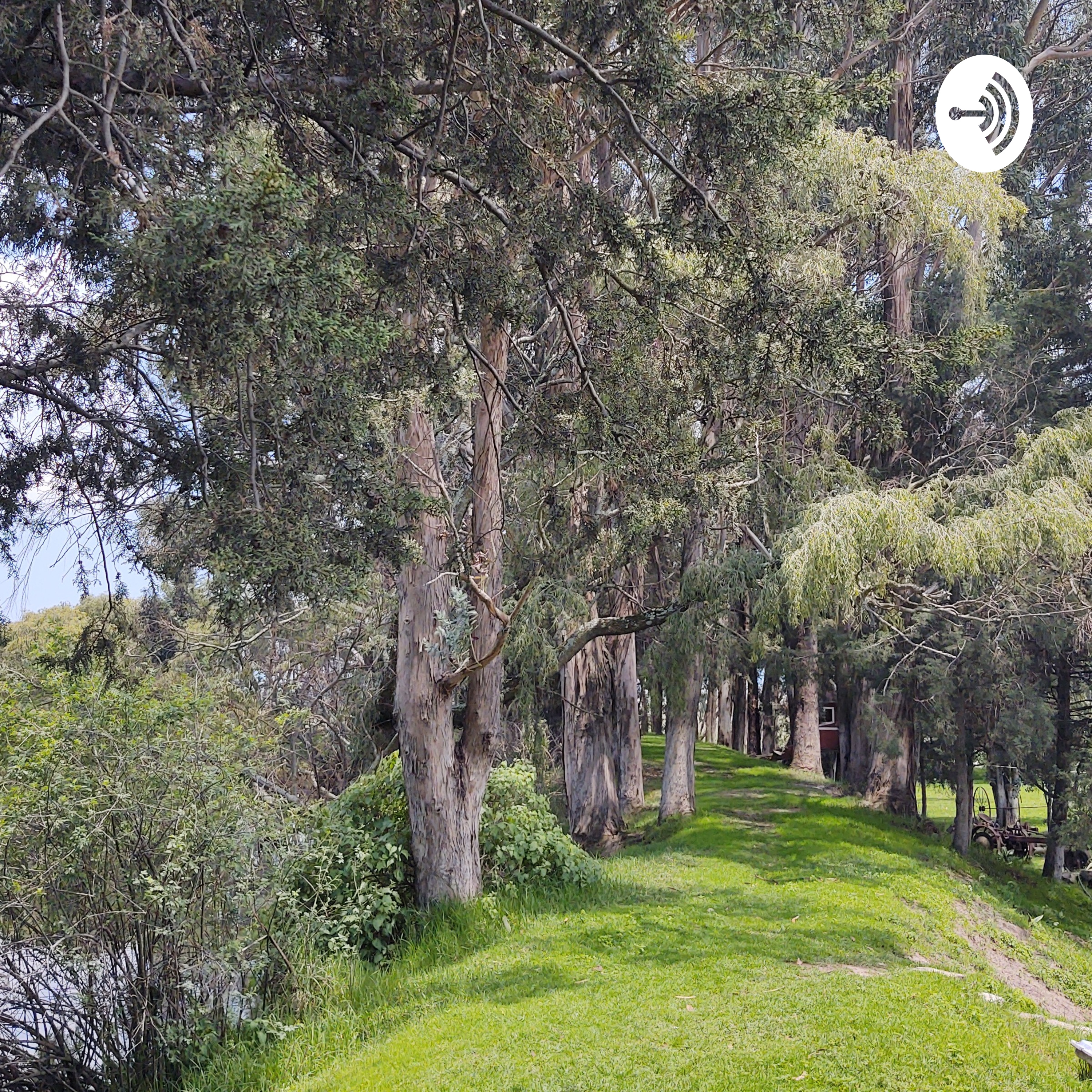 Practicando Podcast 1yola