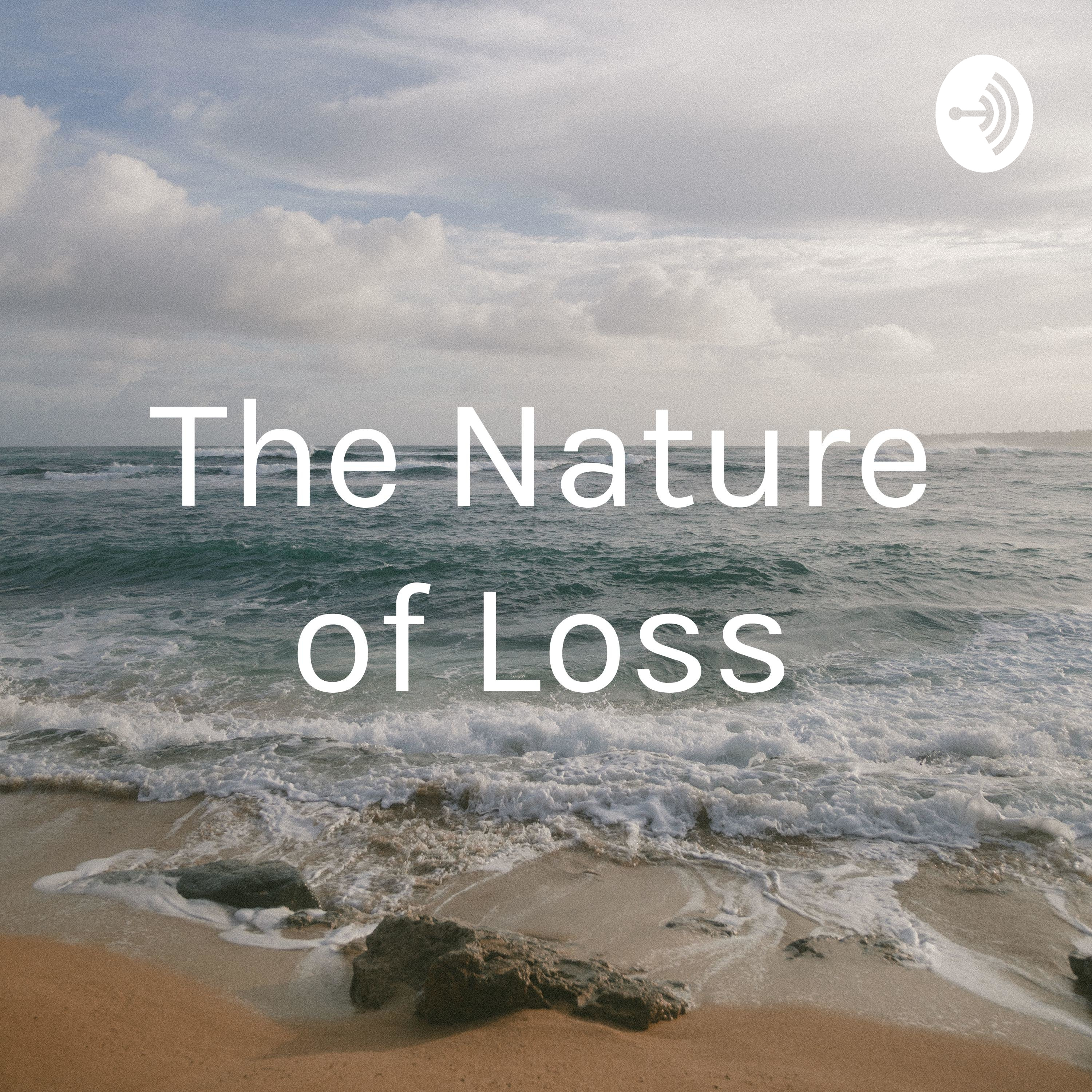 The Nature of Loss