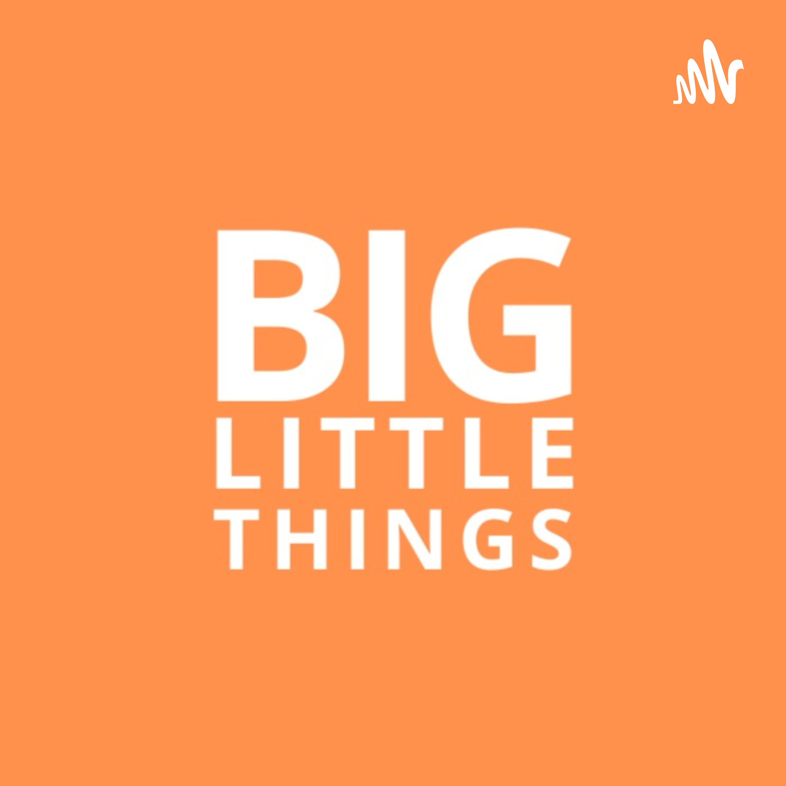 Big Little Things