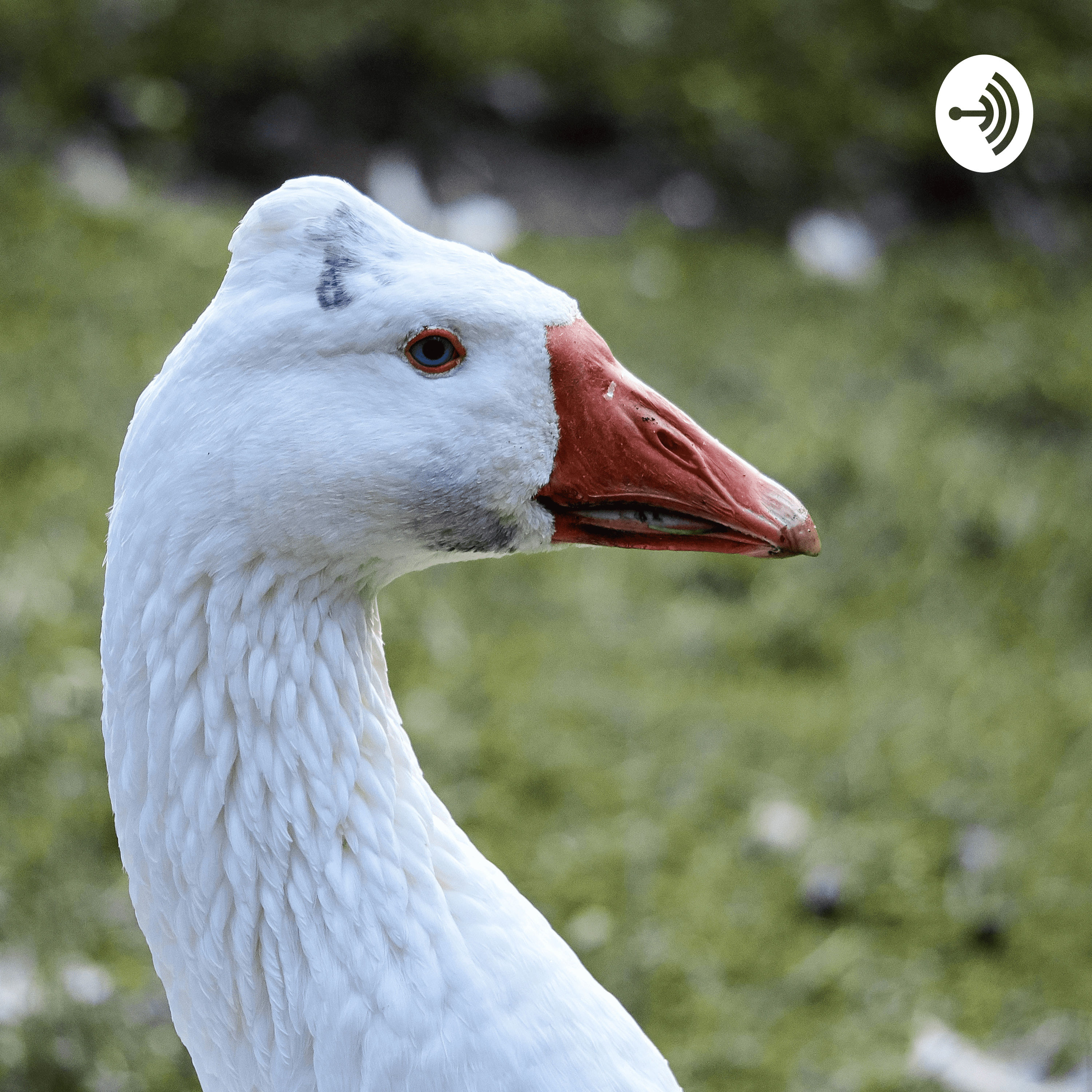 Mother Goose Nursery Rhymes For Adults: The Podcast