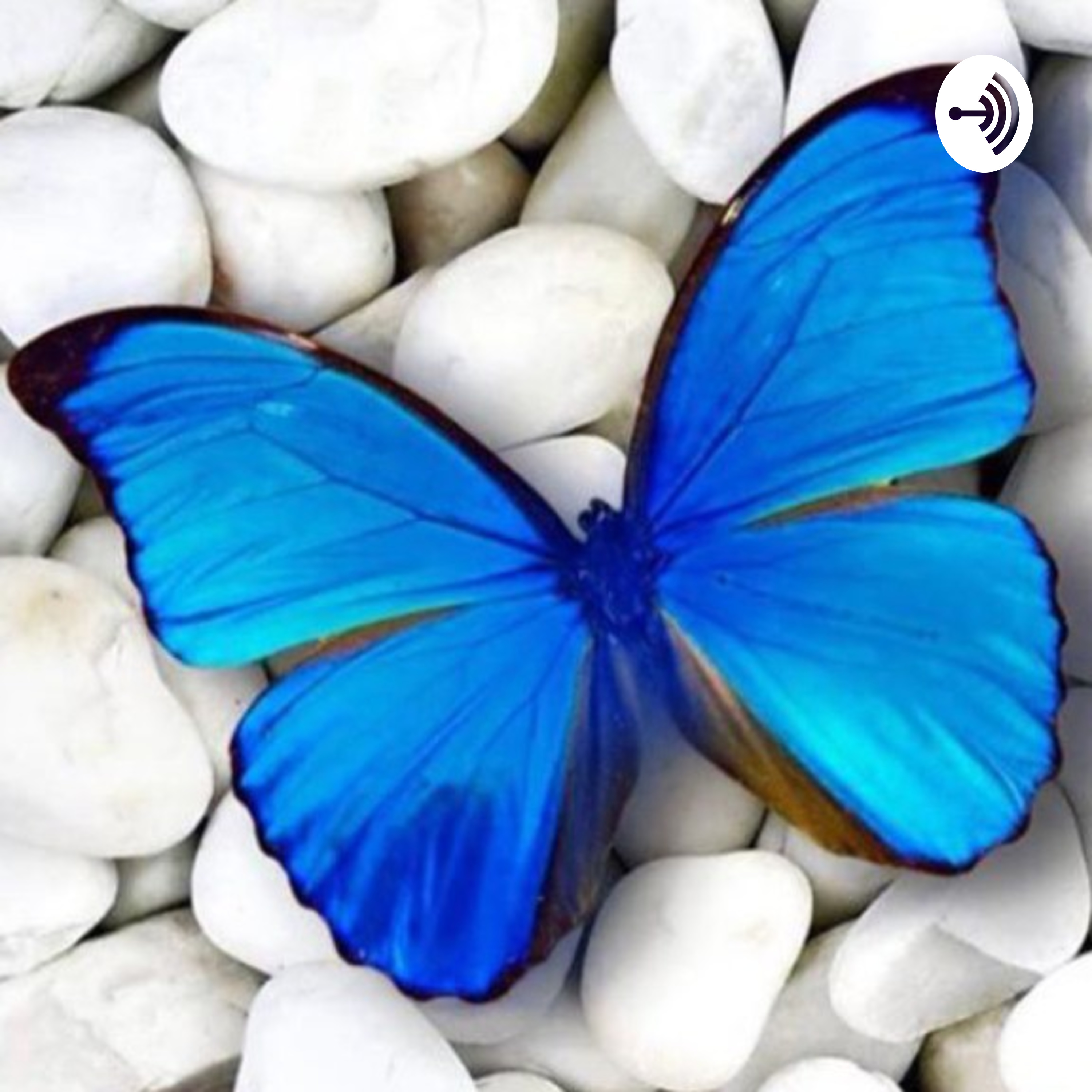 Talkspicywiththebutterflygirl