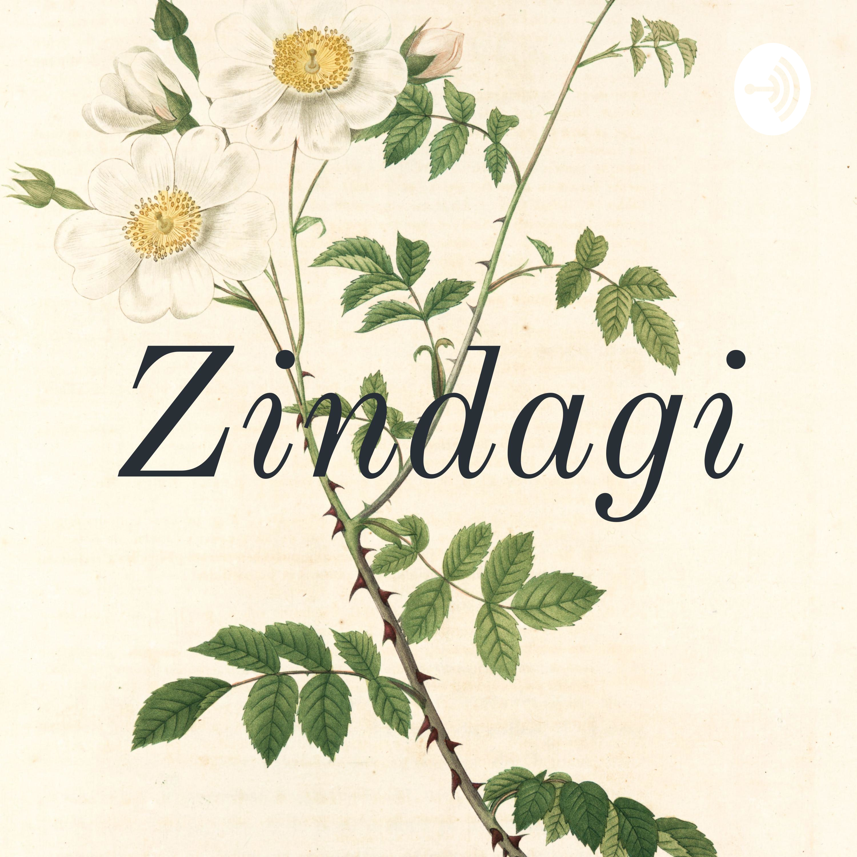 Logo of the podcast Zindagi Podcast Zindagi