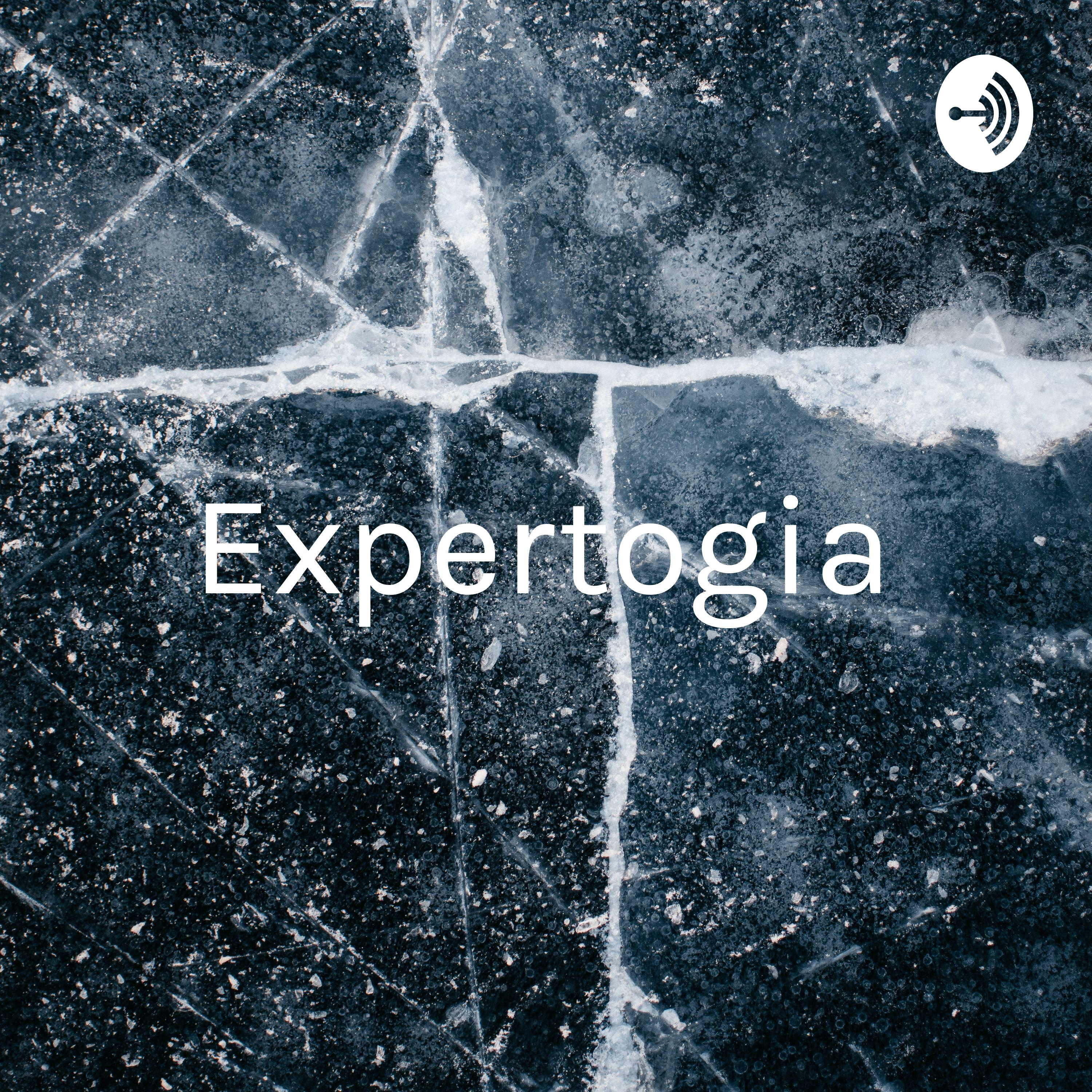 Expertogia - Andrés perez 