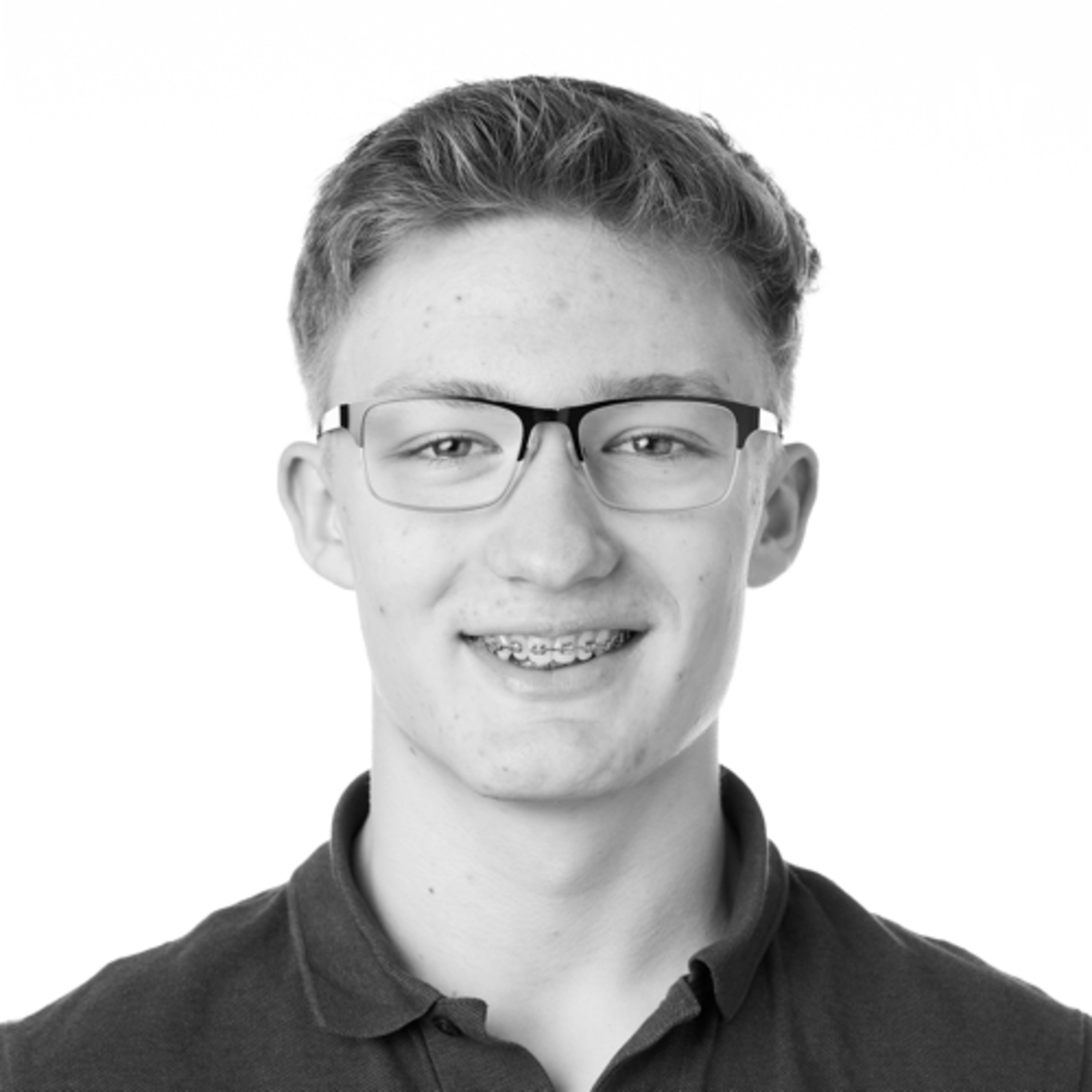 Gustav lapertis af Gustav Lapertis