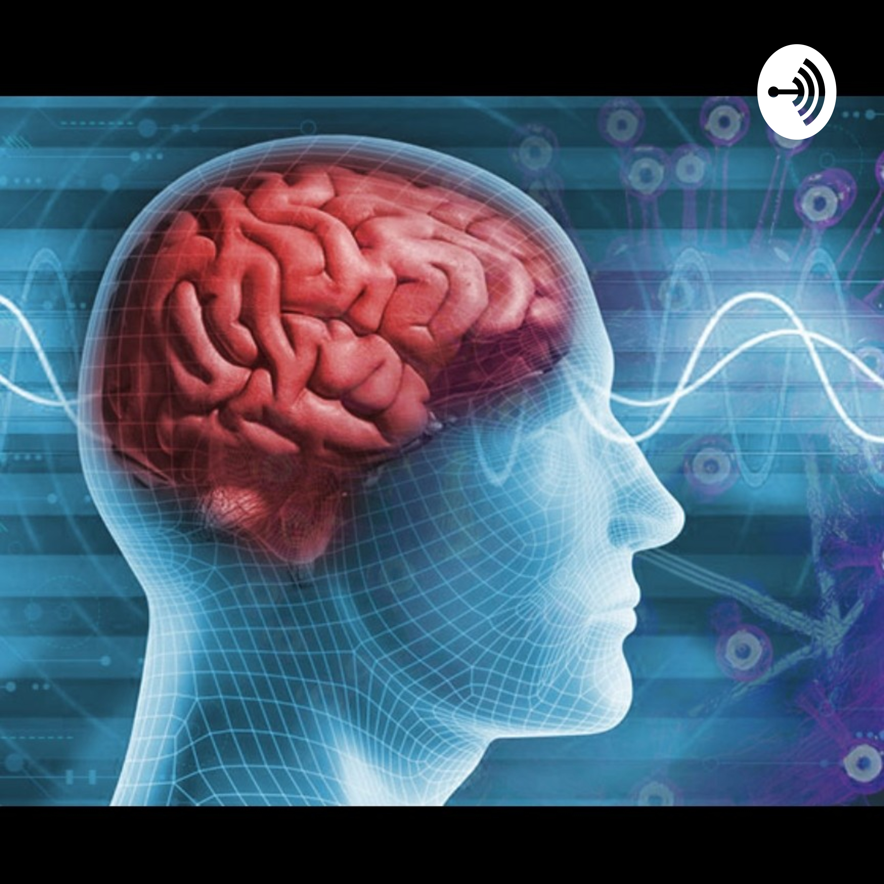 Aprende Más De Salud Mental 