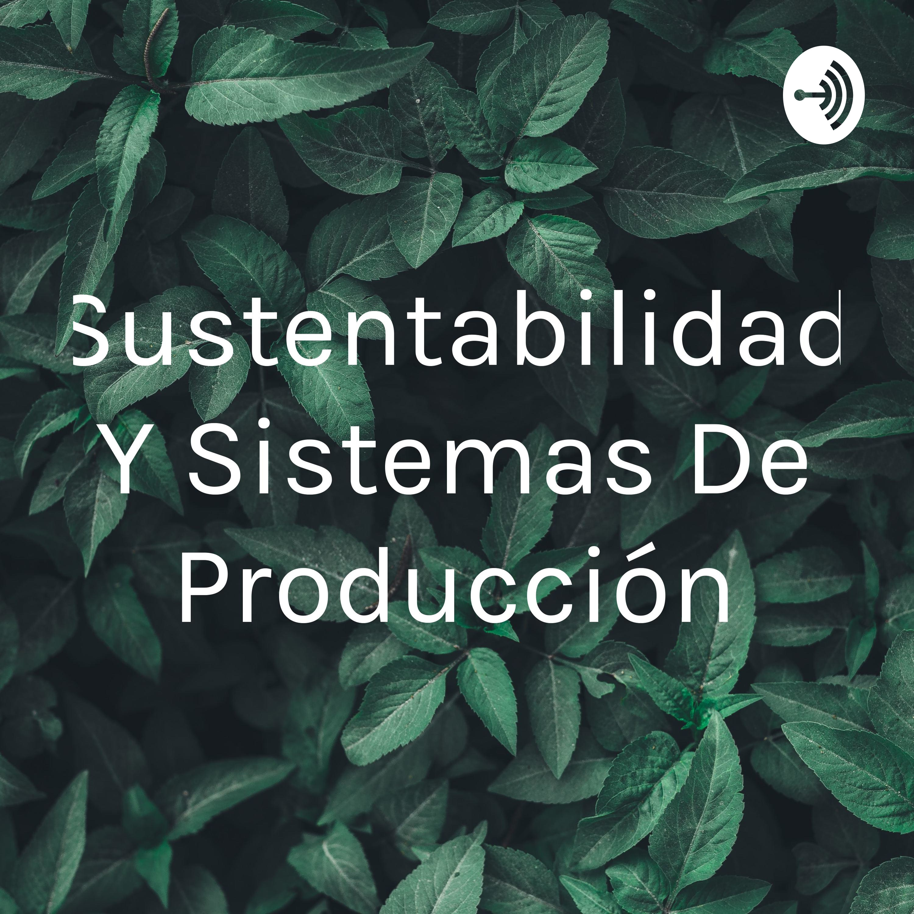 Sustentabilidad Y Sistemas De Producción