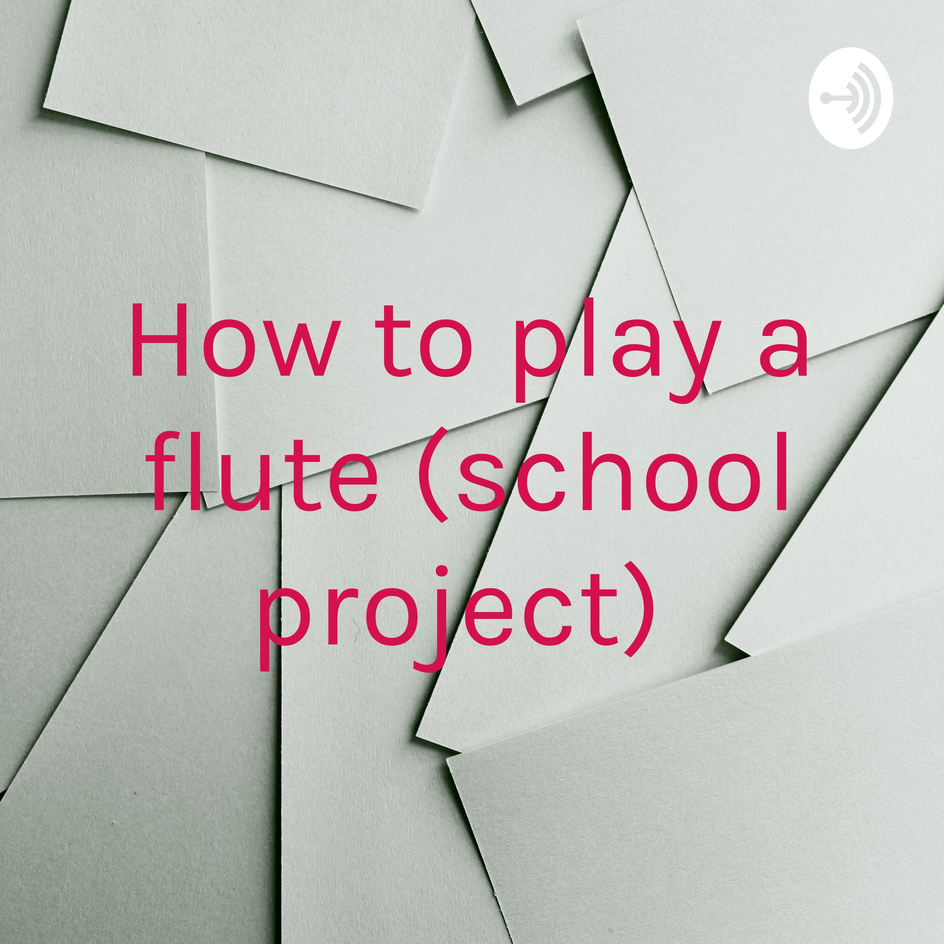 How to play a flute (school project) 