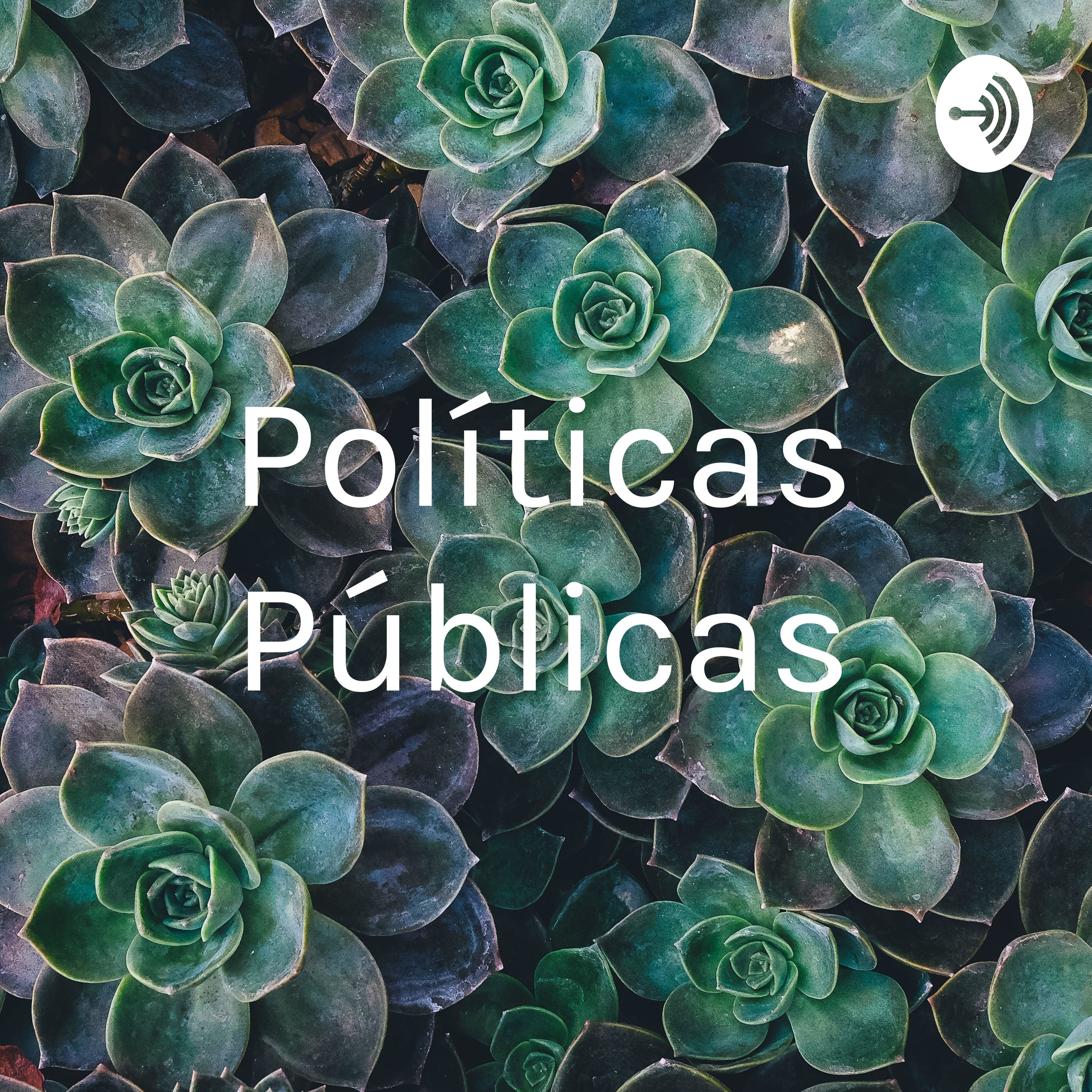 Políticas Públicas