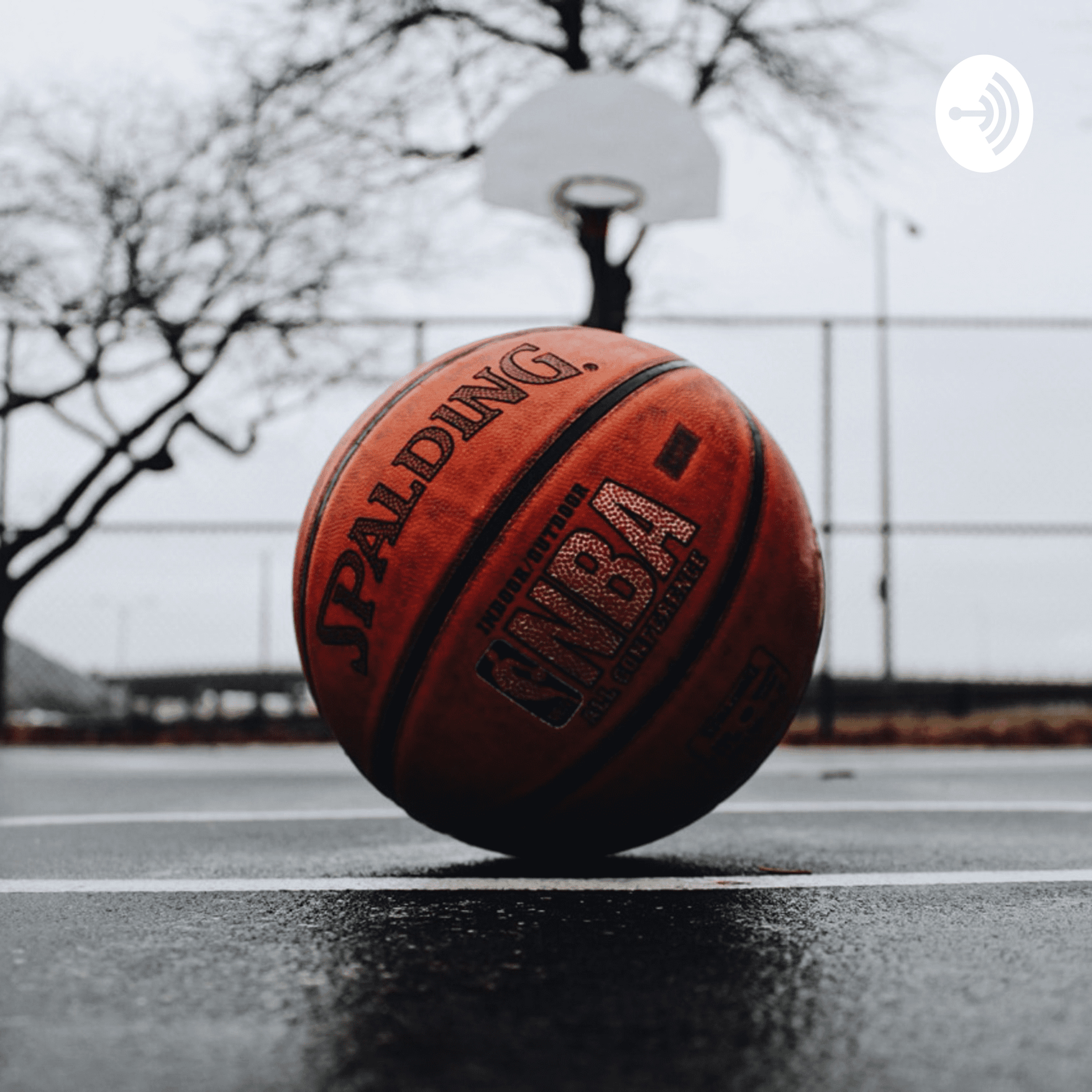 Basket Ball Violations You Should Know As A Begginner