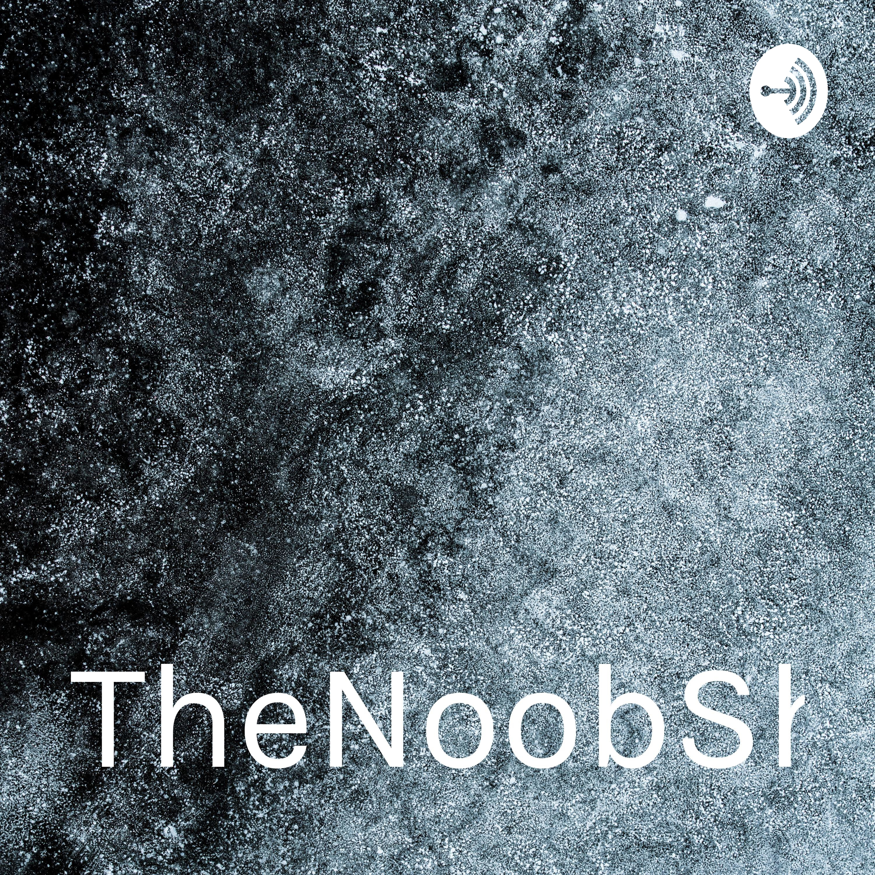 TheNoobShoW