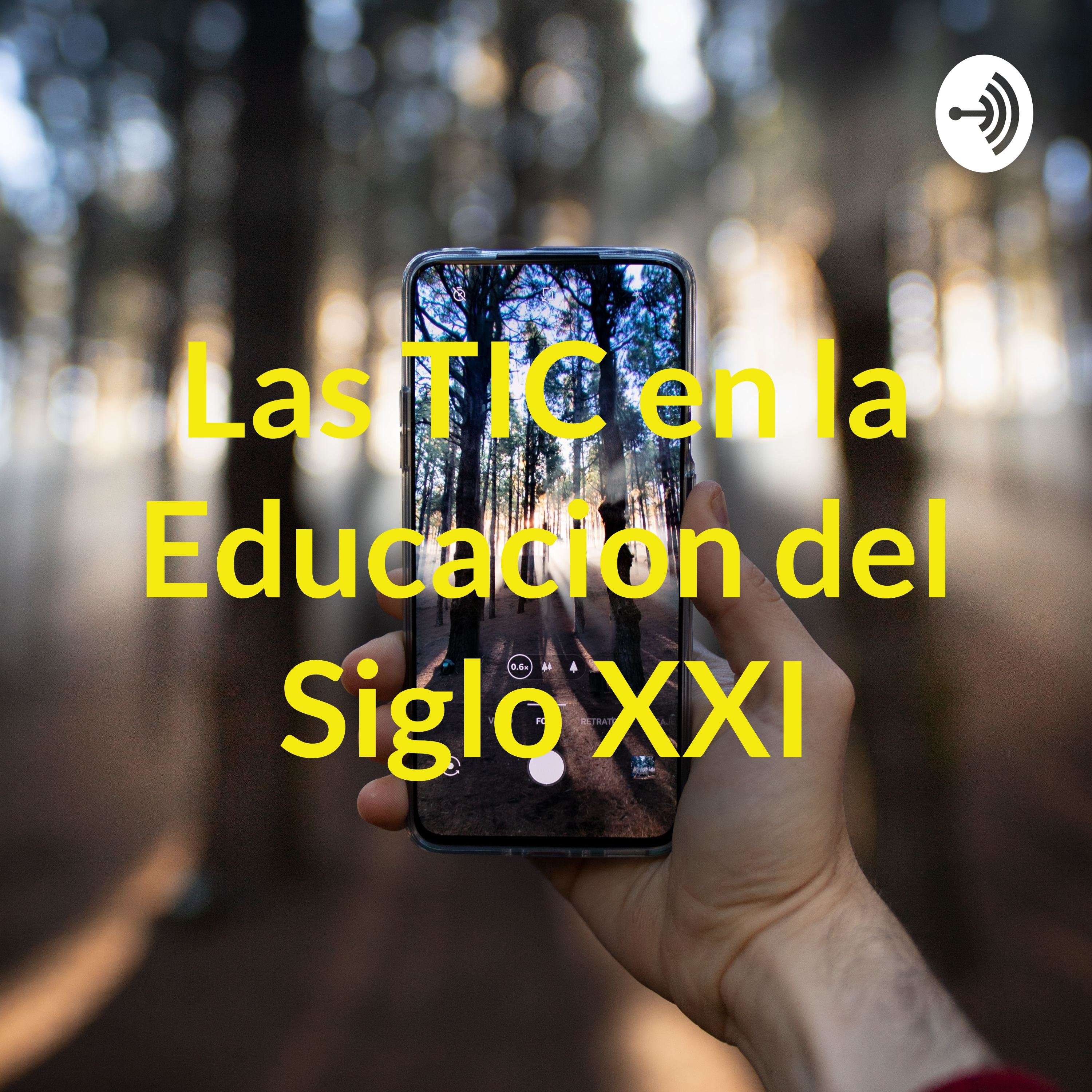 Las TIC en la Educacion del Siglo XXI