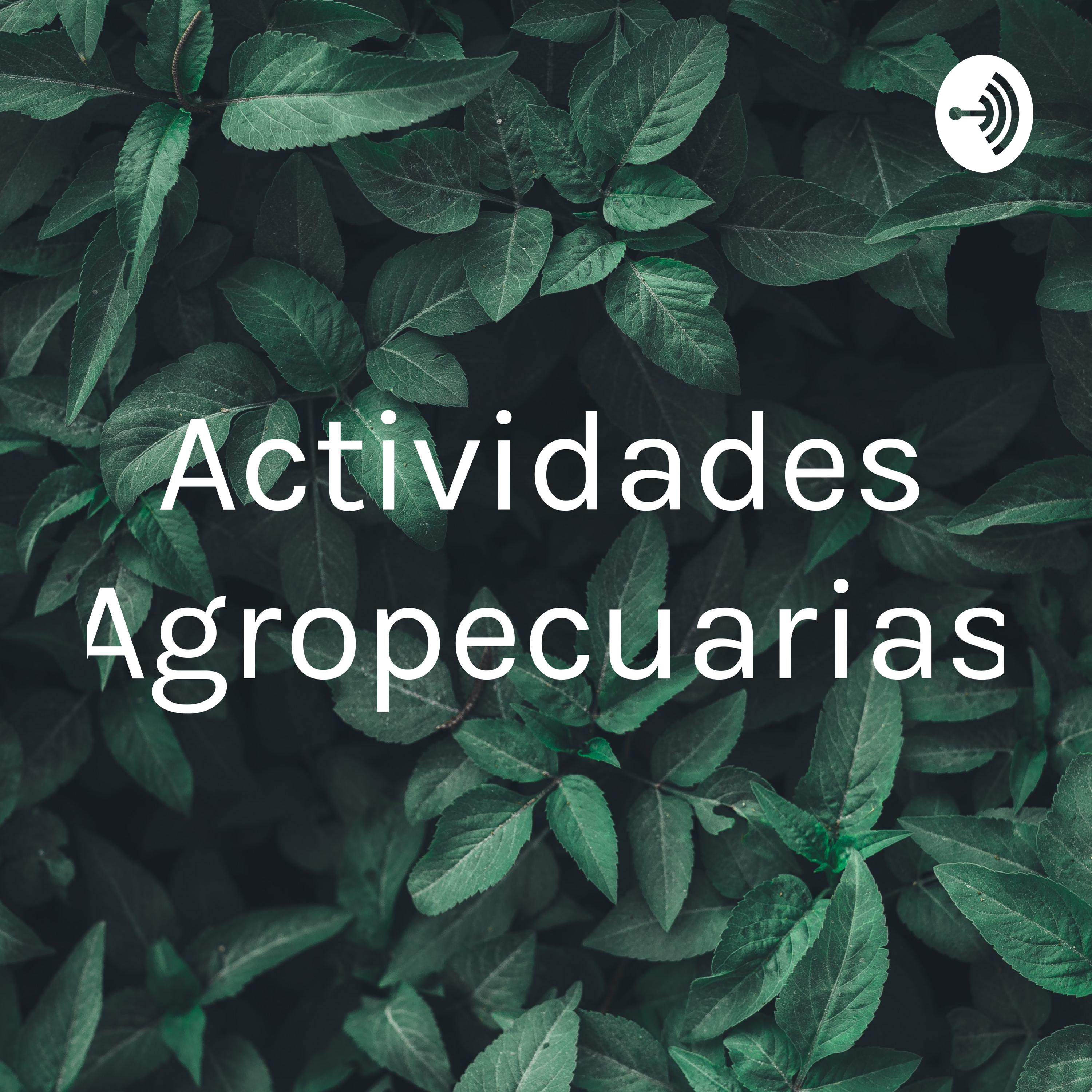 Actividades Agropecuarias