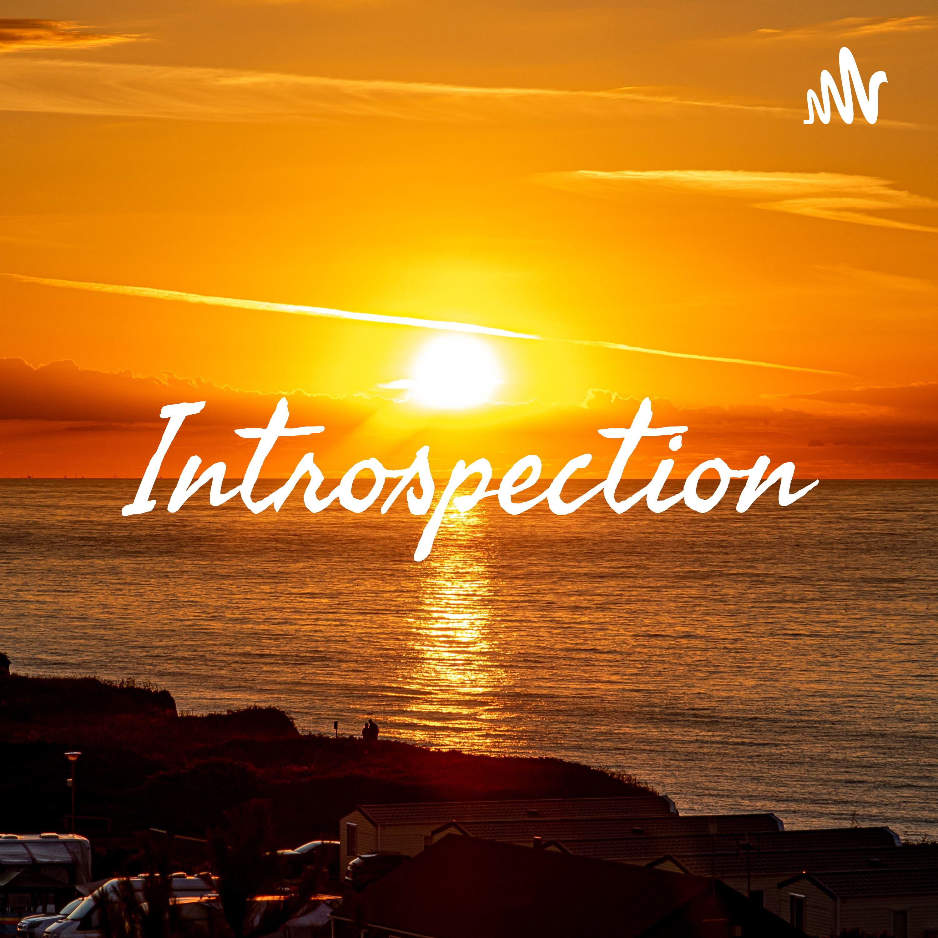 Introspection