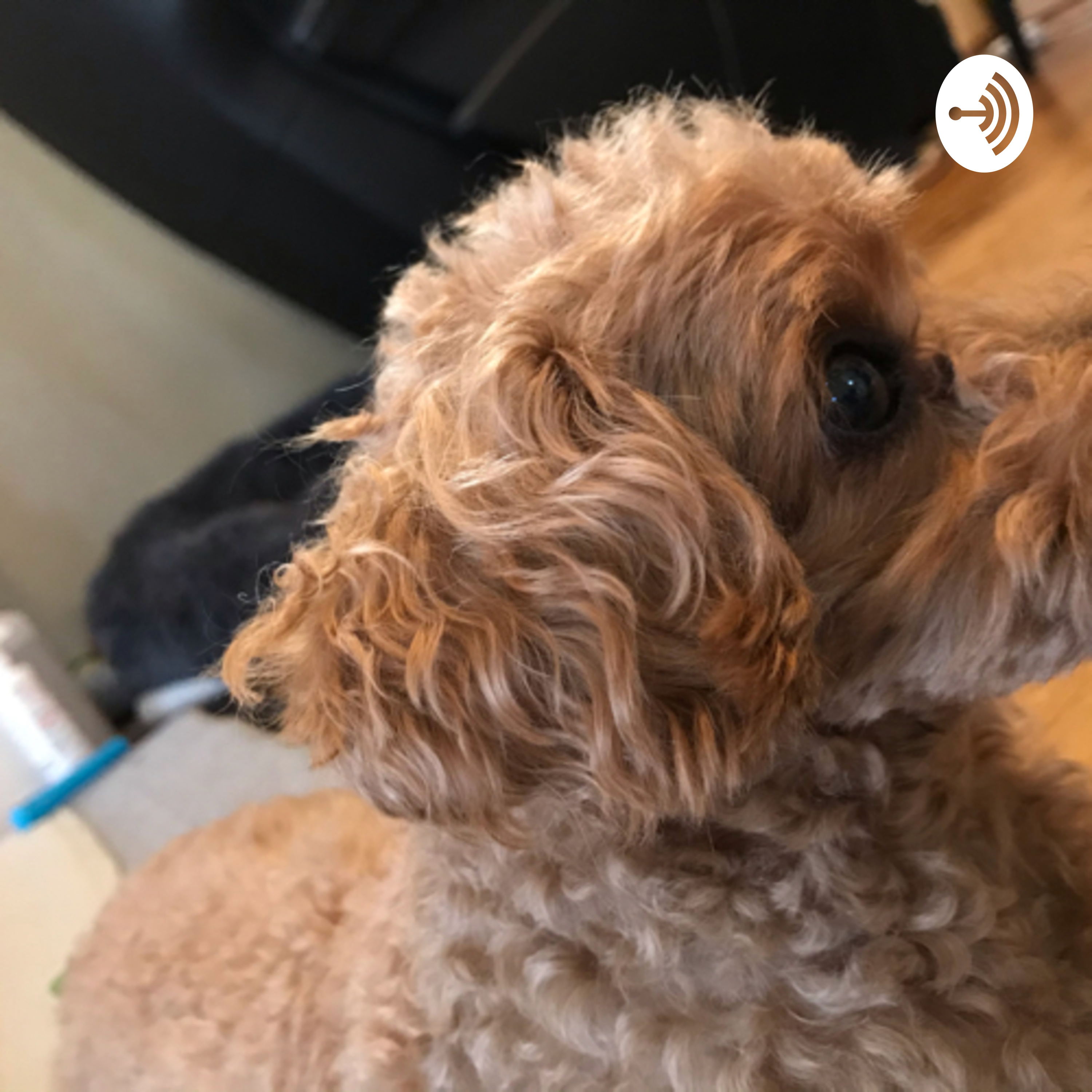 詩の朗読ラジオ　癒しと名詩と伝説と