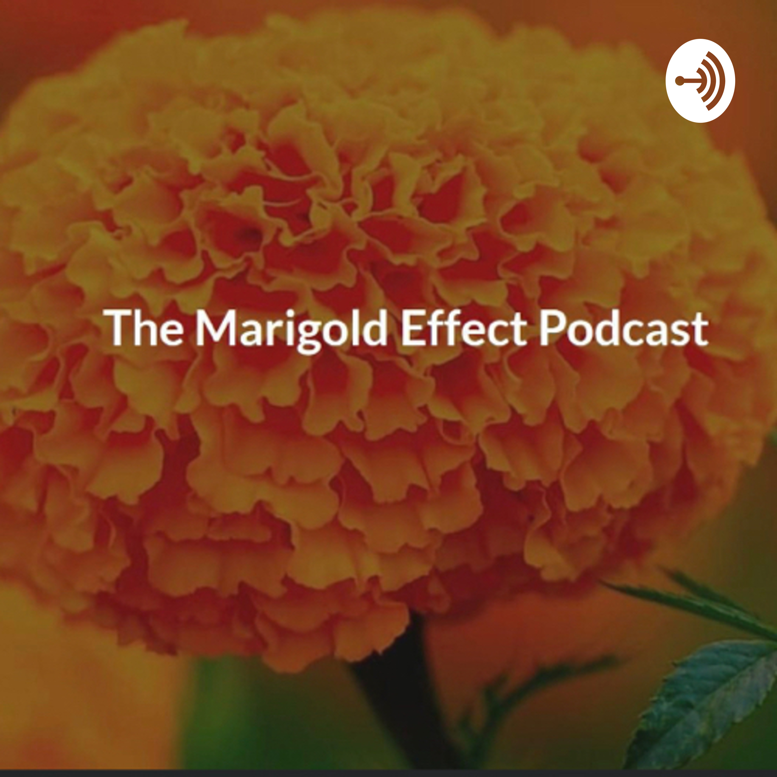 The Marigold Effect