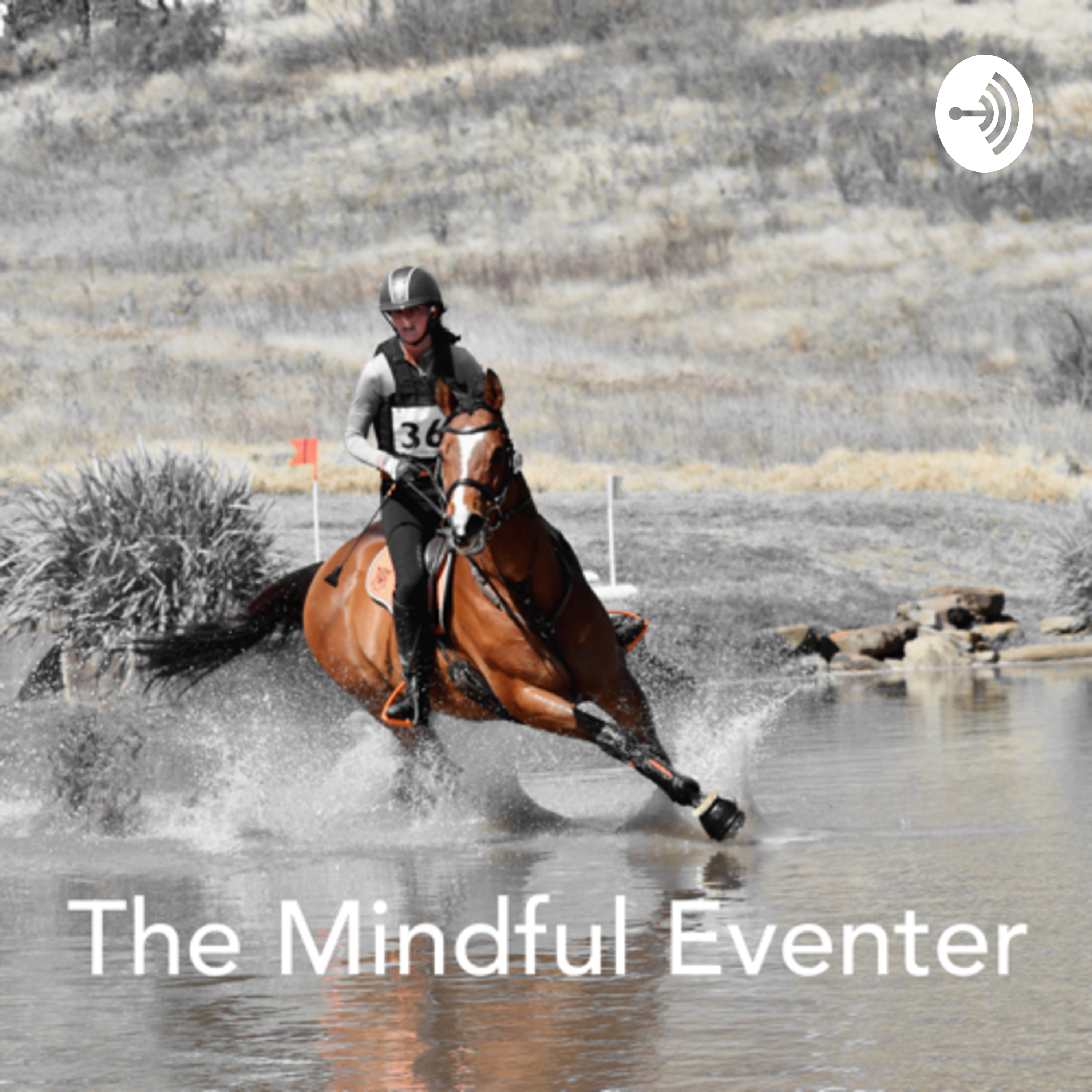 The Mindful Eventer cover art
