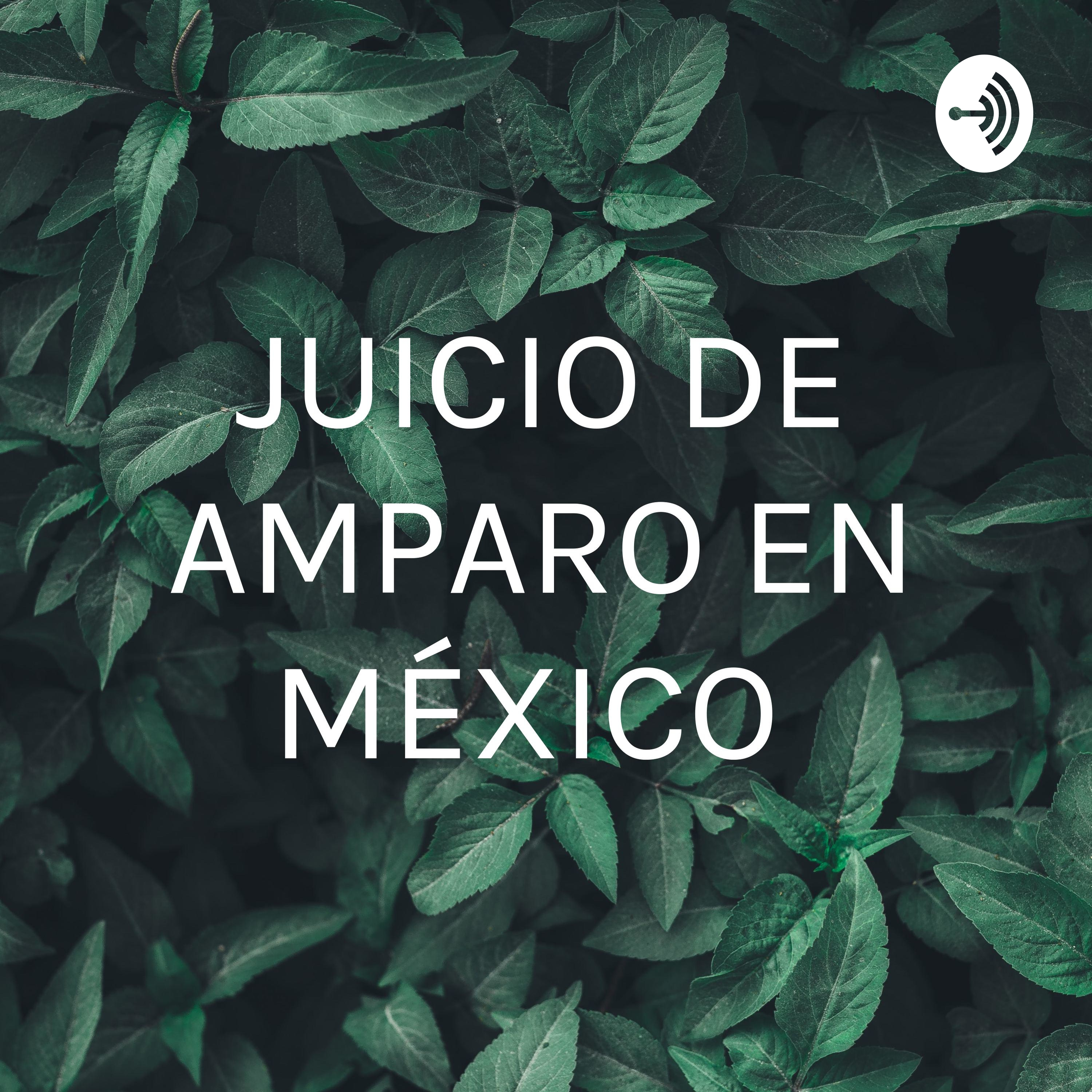 JUICIO DE AMPARO EN MÉXICO 