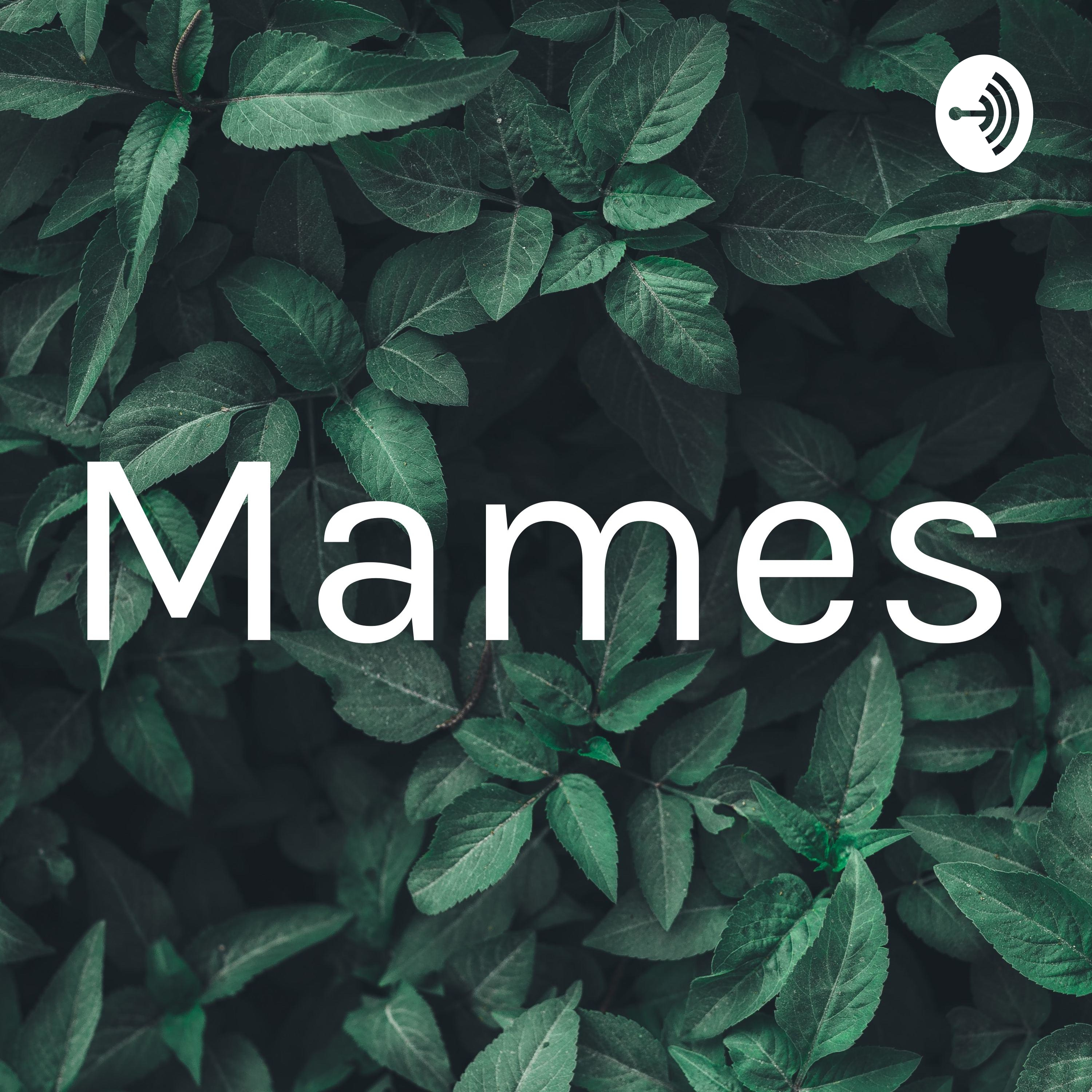 Mames cover art