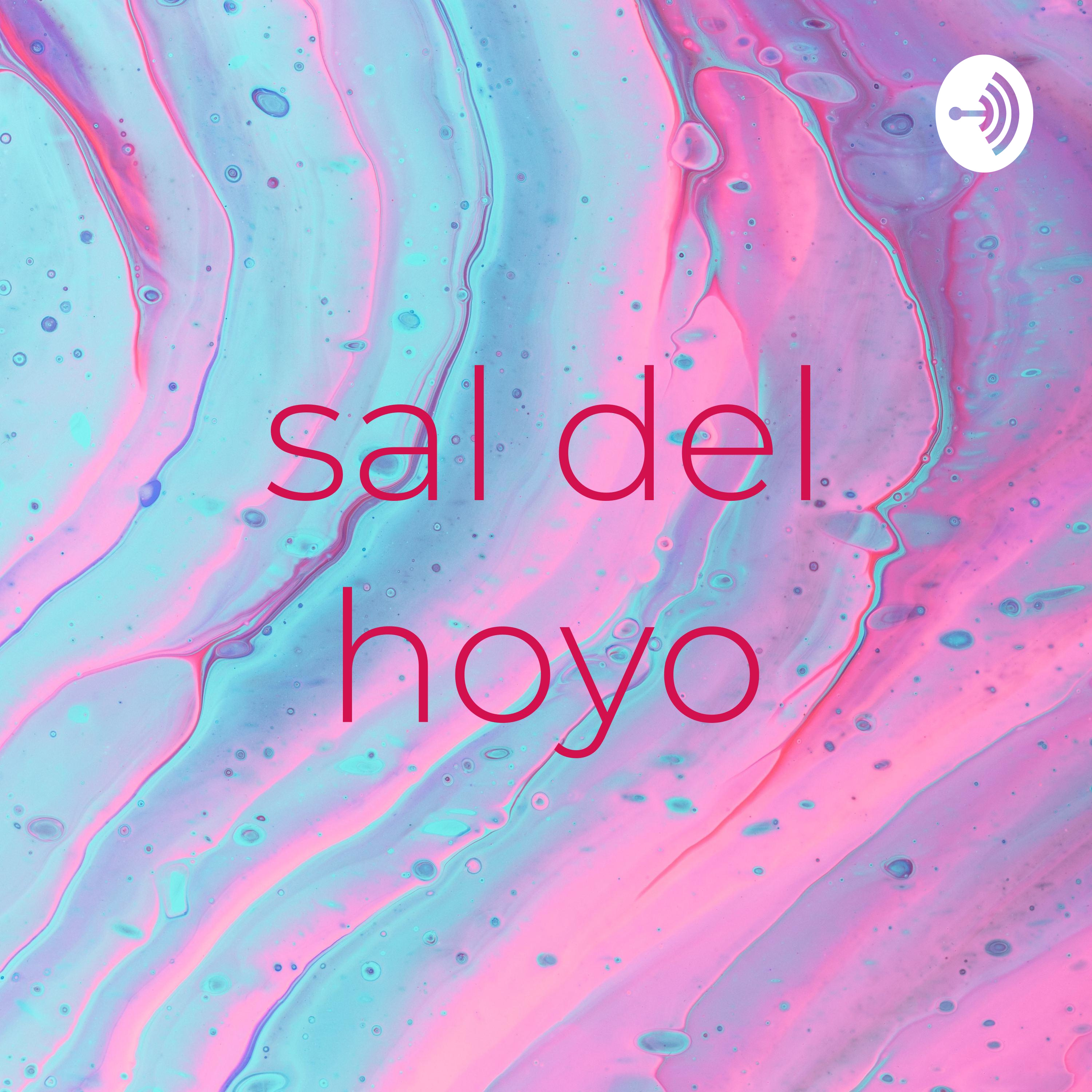 sal del hoyo cover art