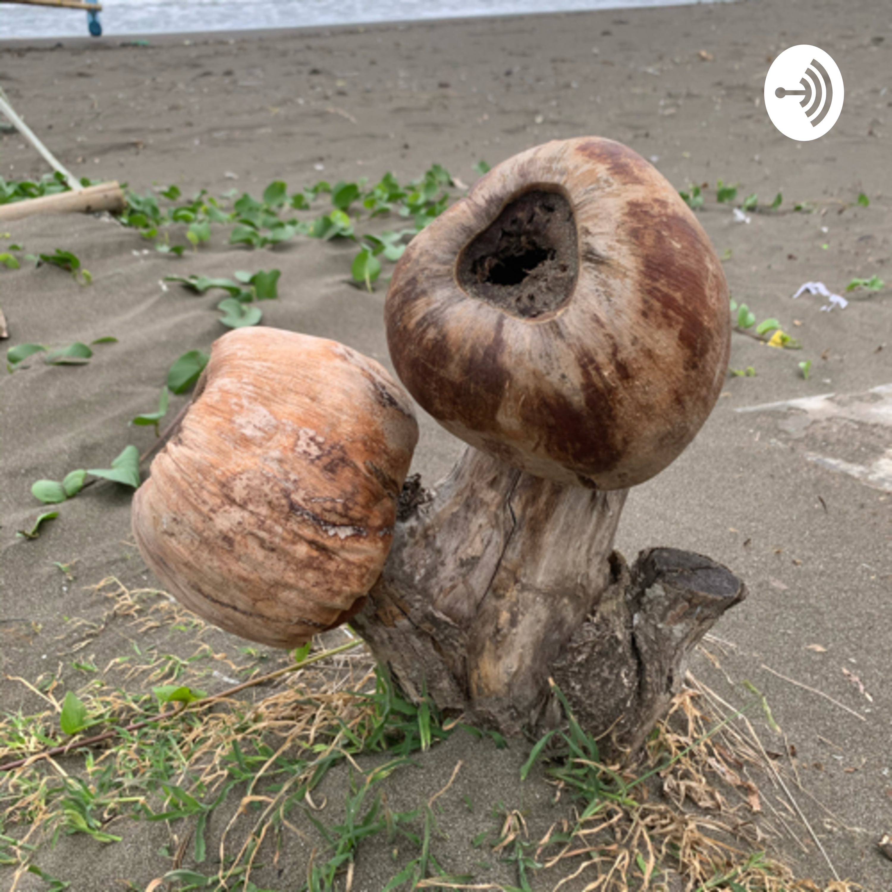 Podcast Petir cover art