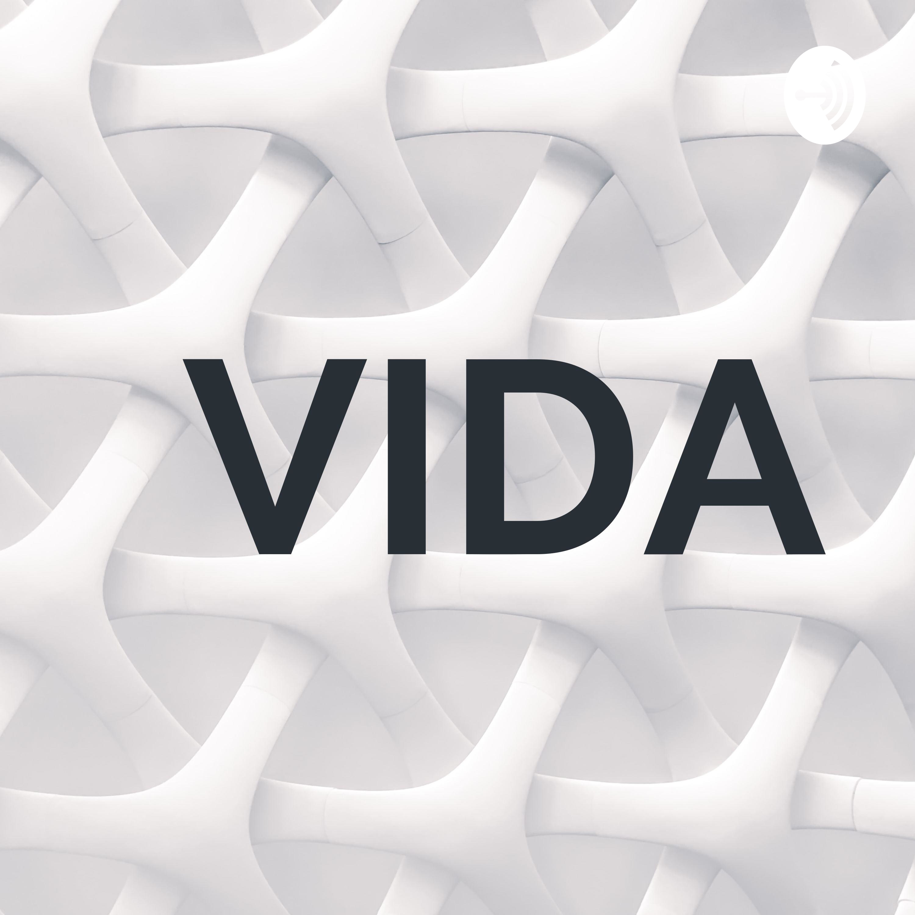 VIDA cover art