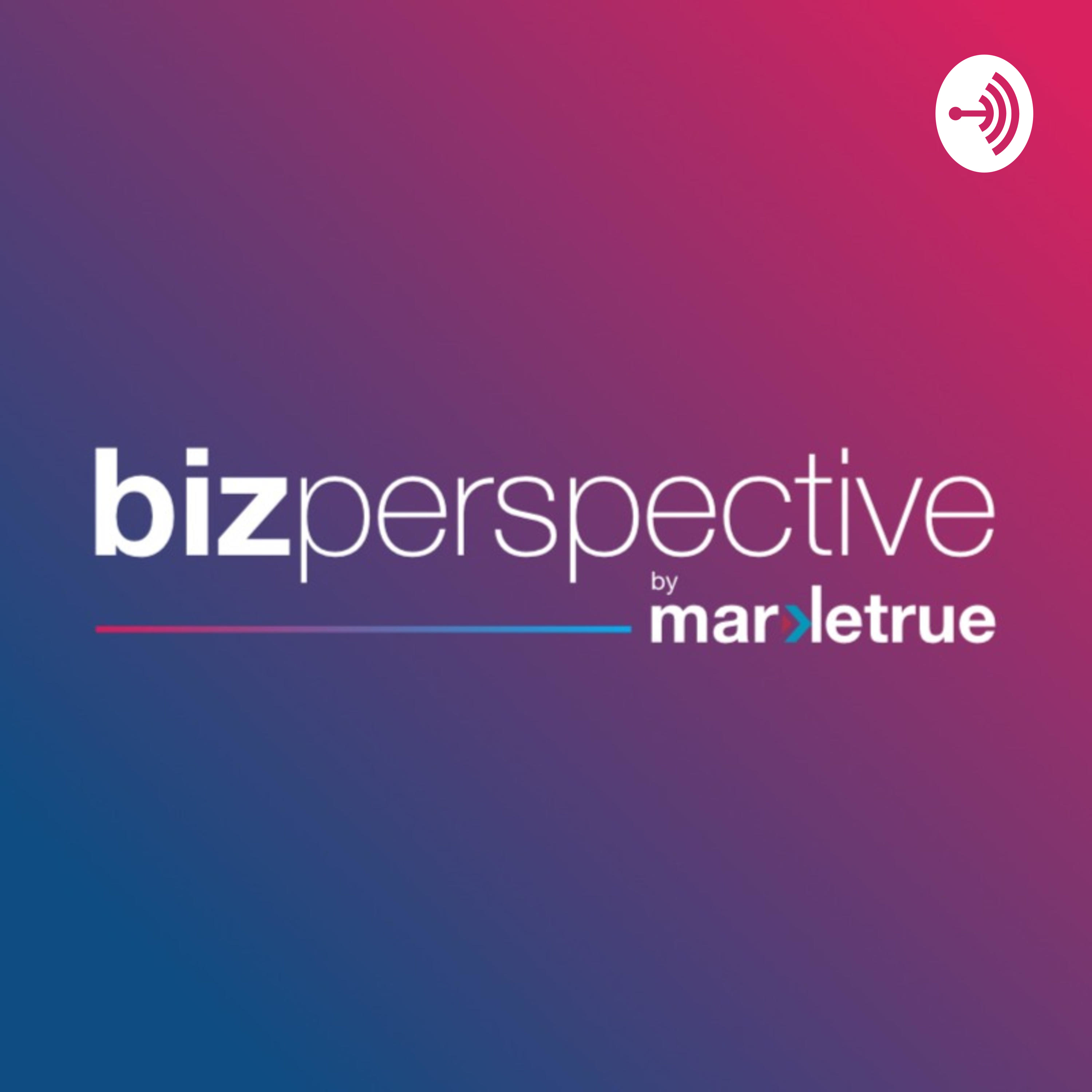 Bizperspective cover art