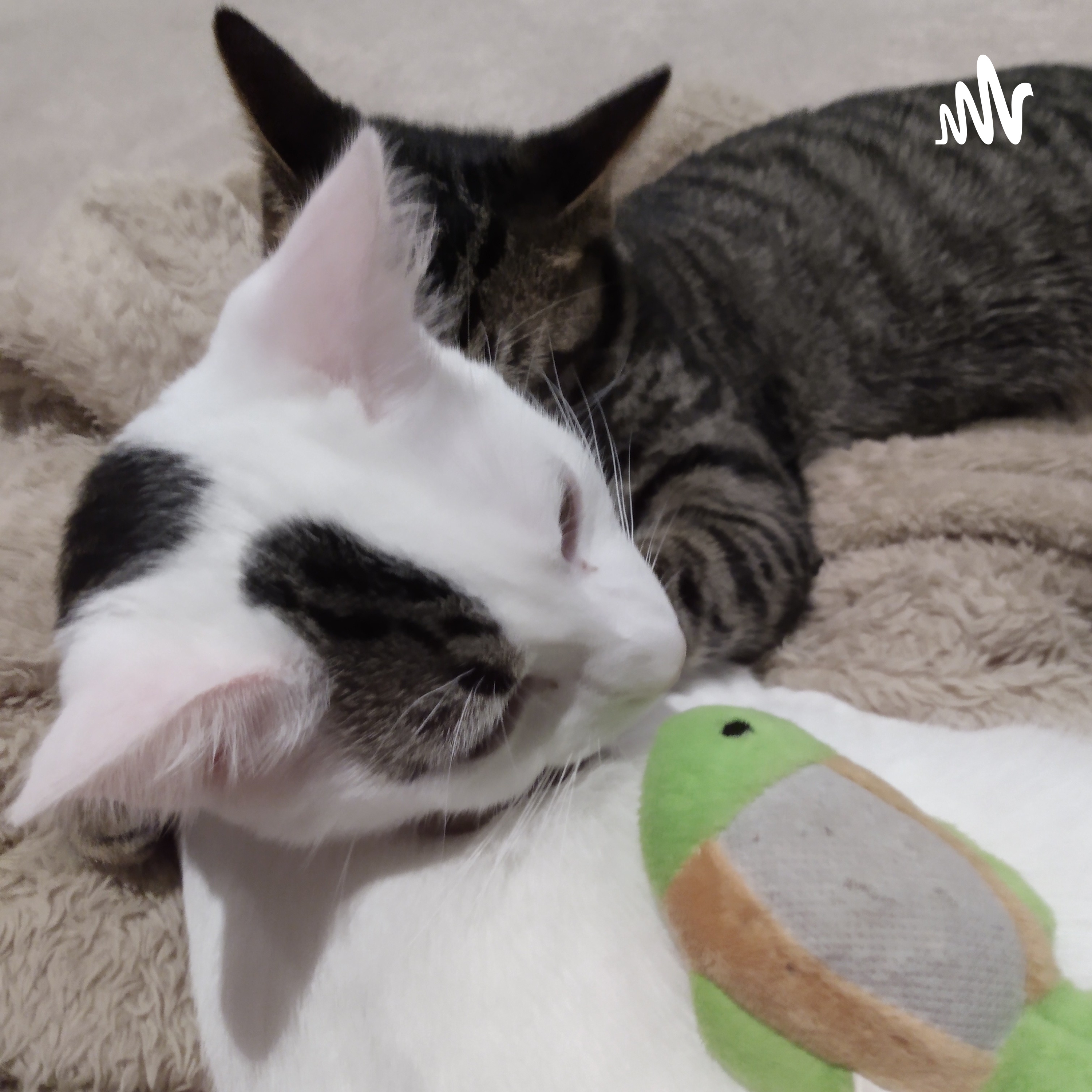 Avery Talks cover art