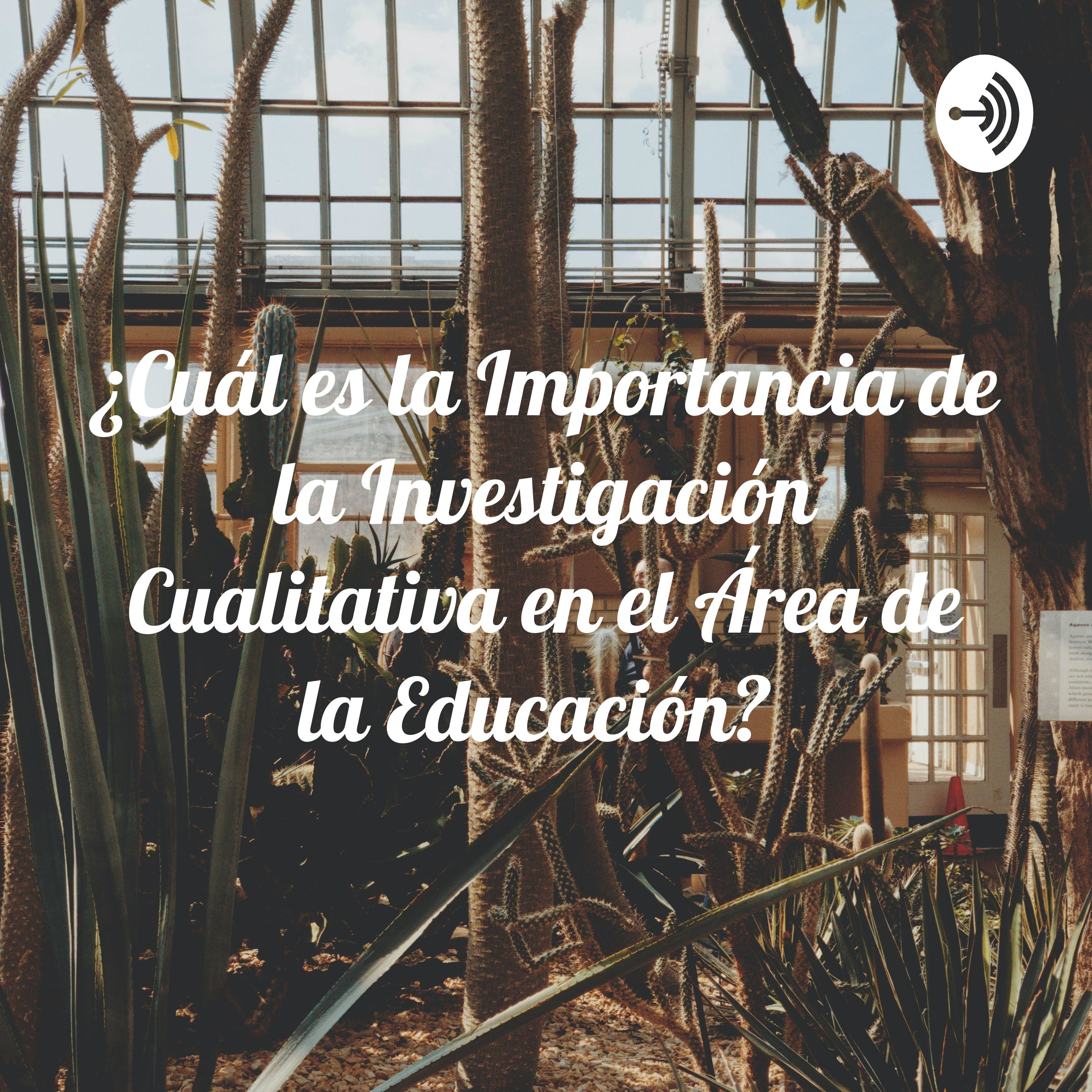 ¿Cuál es la Importancia de la Investigación Cualitativa en el Área de la Educación?