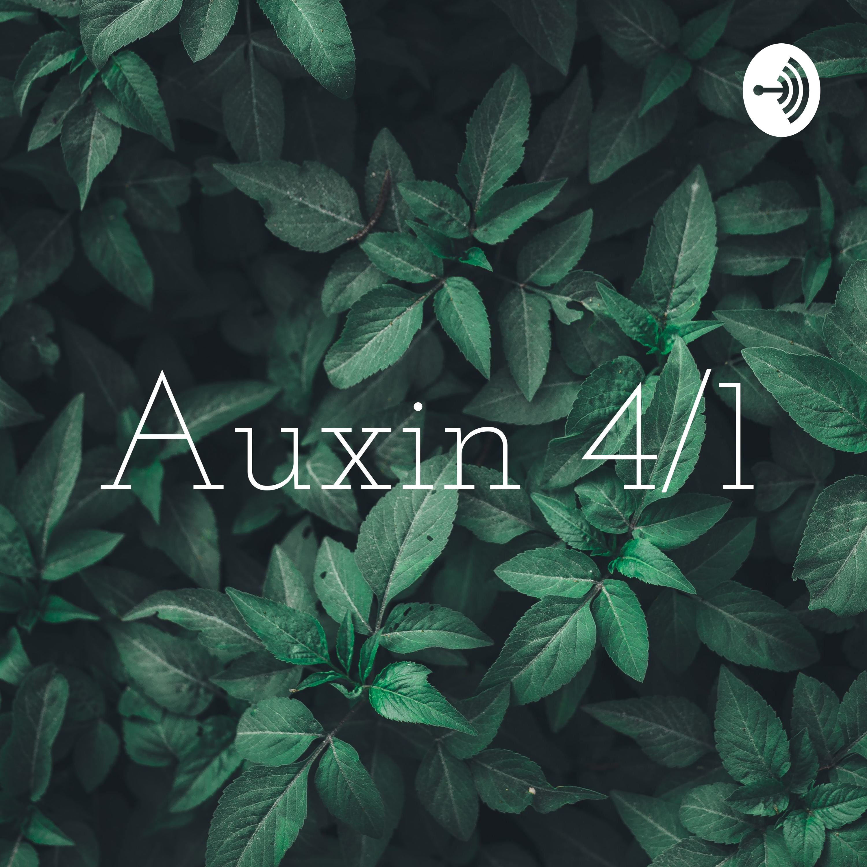 Auxin 4/1